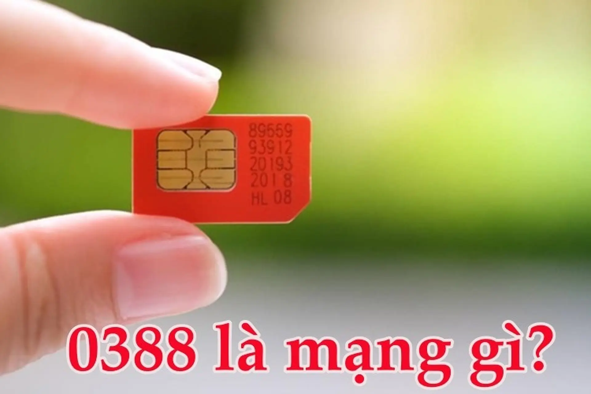 0388 là mạng gì? Ý nghĩa tài lộc của đầu số 0388