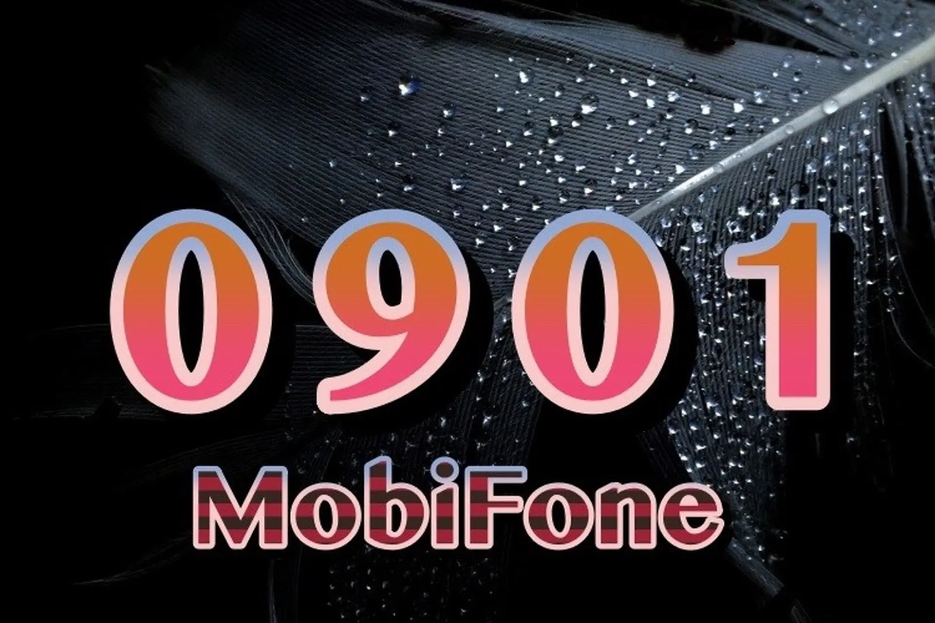 0901 là mạng gì? Tìm hiểu ý nghĩa “trấn tài lộc” của đầu số 0901