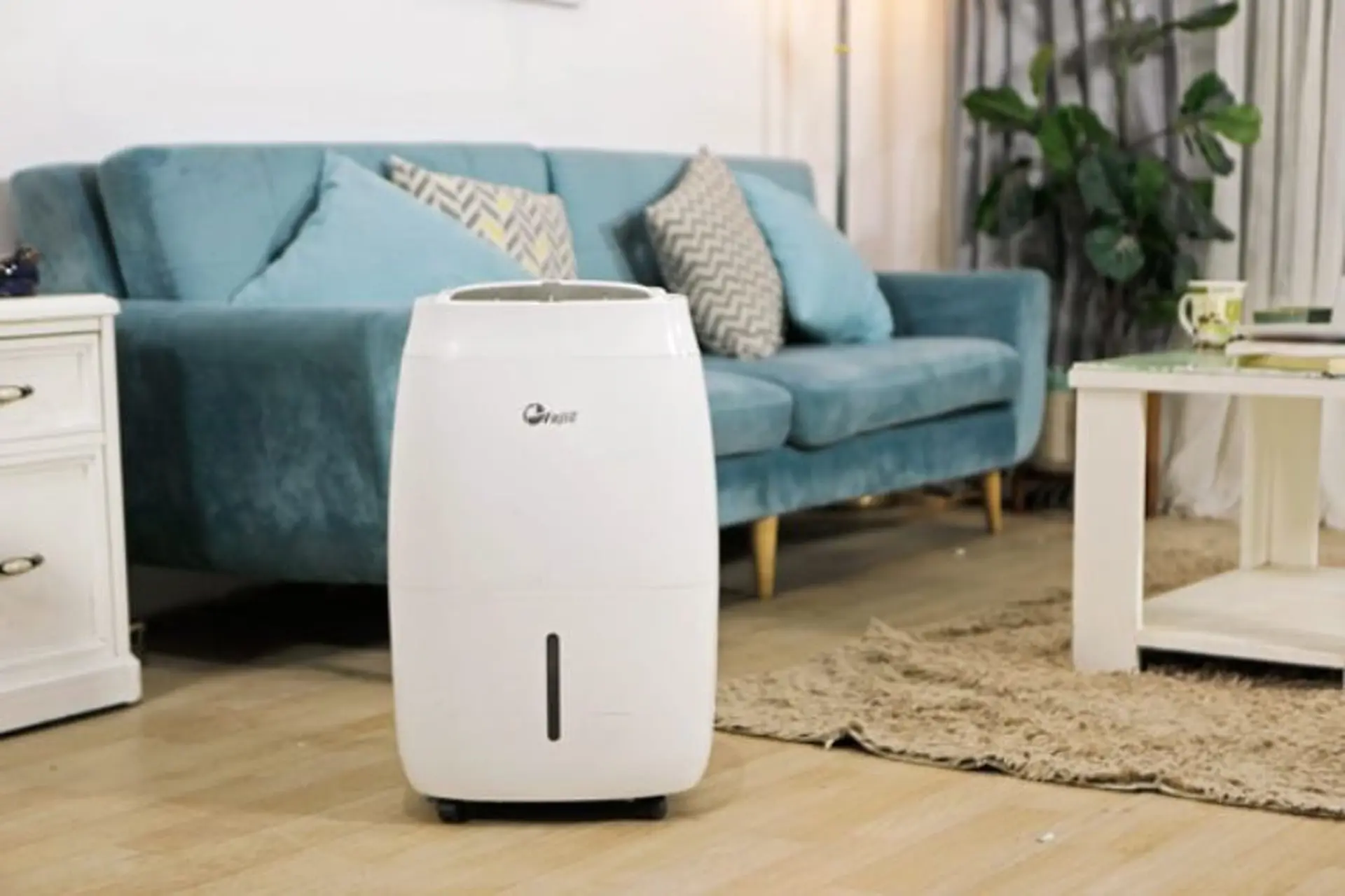 Nên mua máy hút ẩm chống nồm nào? Top máy hút ẩm đáng mua nhất hiện nay