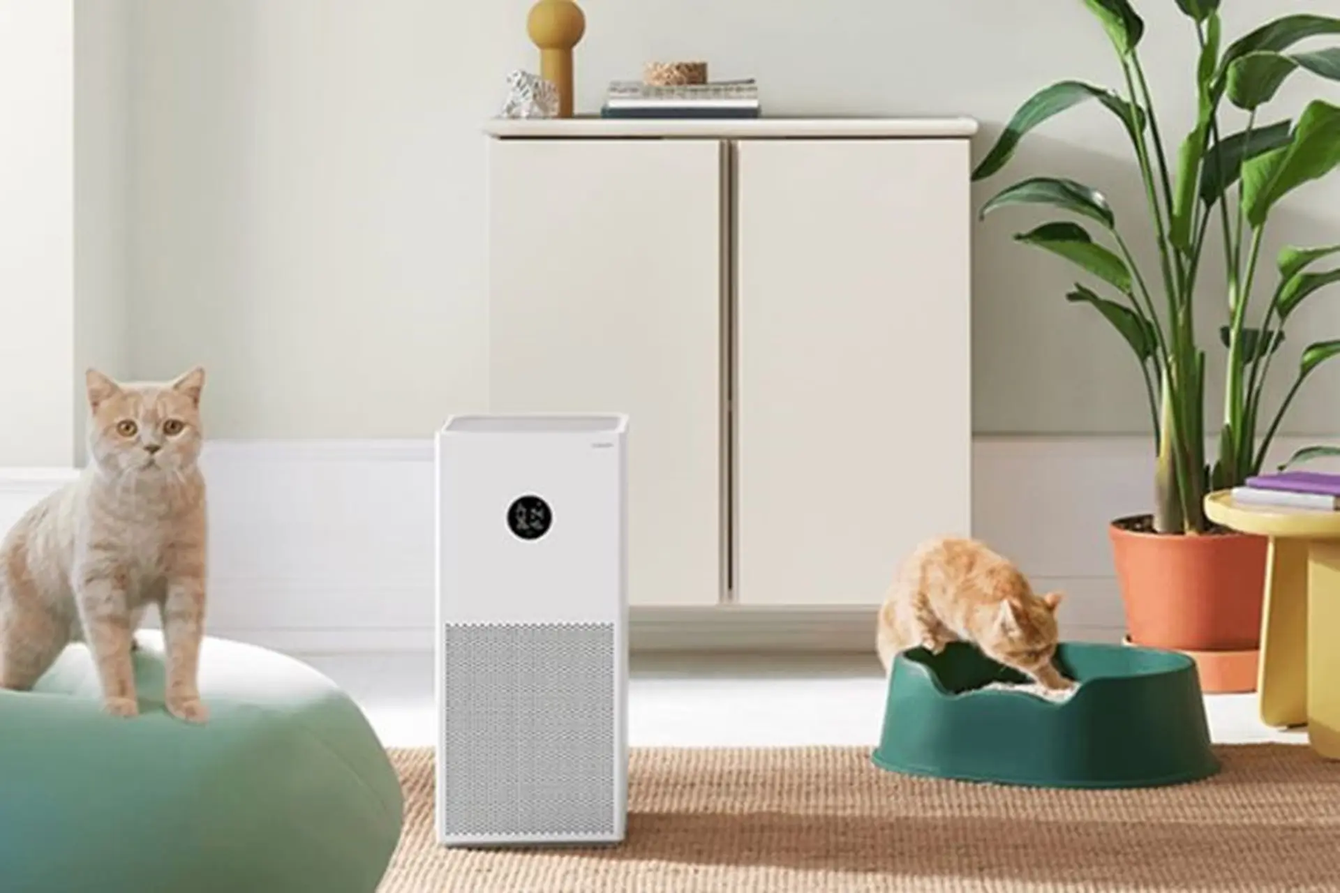 Đánh giá máy lọc không khí Xiaomi Mi AP 4 Lite: Thiết kế, hiệu năng vượt trội trong tầm giá