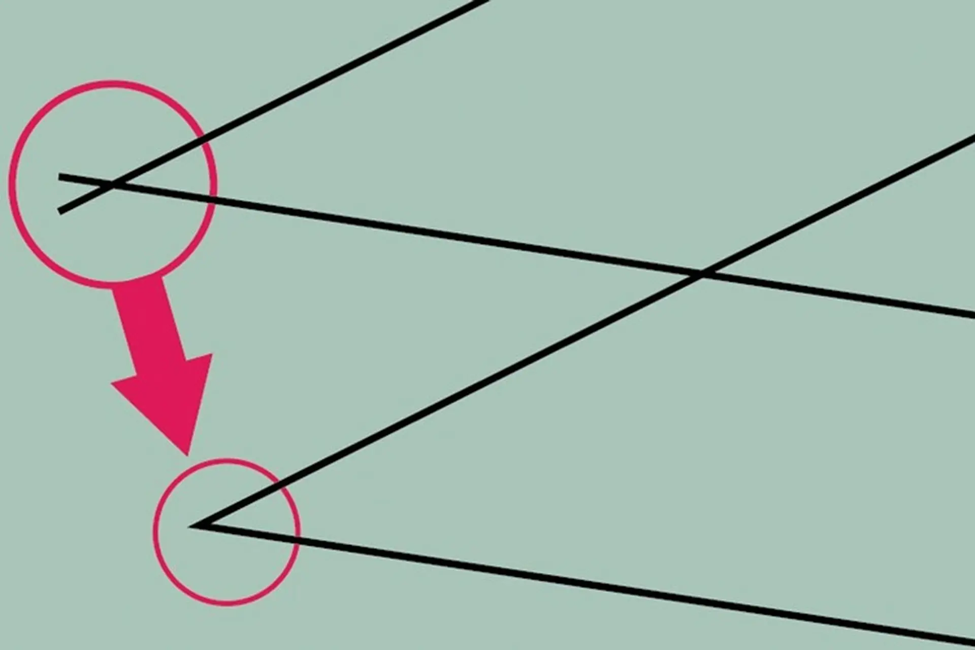 Hướng dẫn vẽ đường thẳng trong Adobe Illustrator chi tiết và dễ hiểu nhất