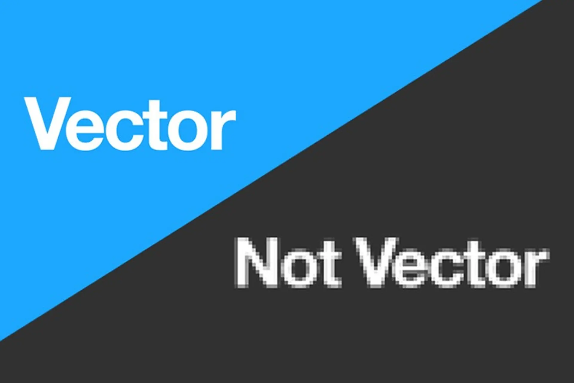 File vector là gì? Ưu và nhược điểm của file vector