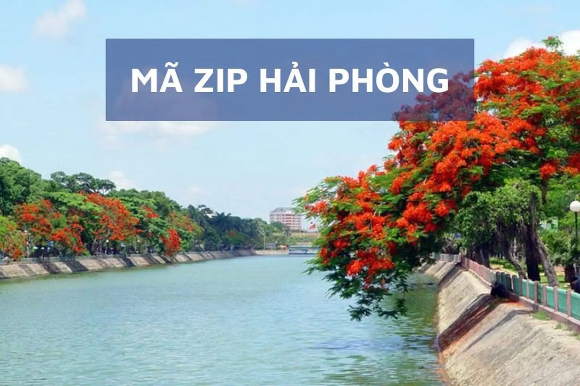 Mã ZIP Hải Phòng là gì? Tổng hợp mã bưu chính Hải Phòng đầy đủ nhất