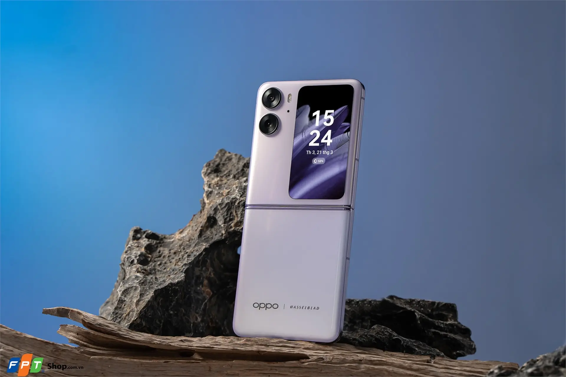 https://fptshop.com.vn/