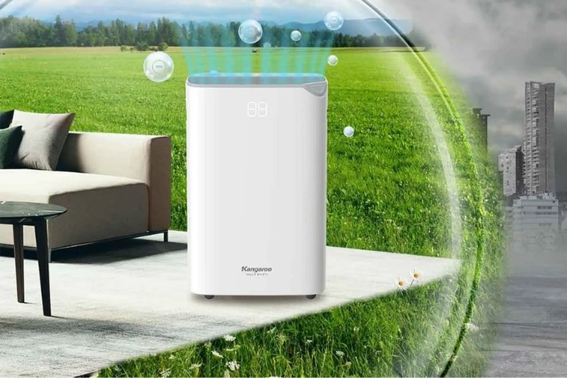 Cách sử dụng máy hút ẩm Kangaroo để đạt hiệu quả tốt nhất