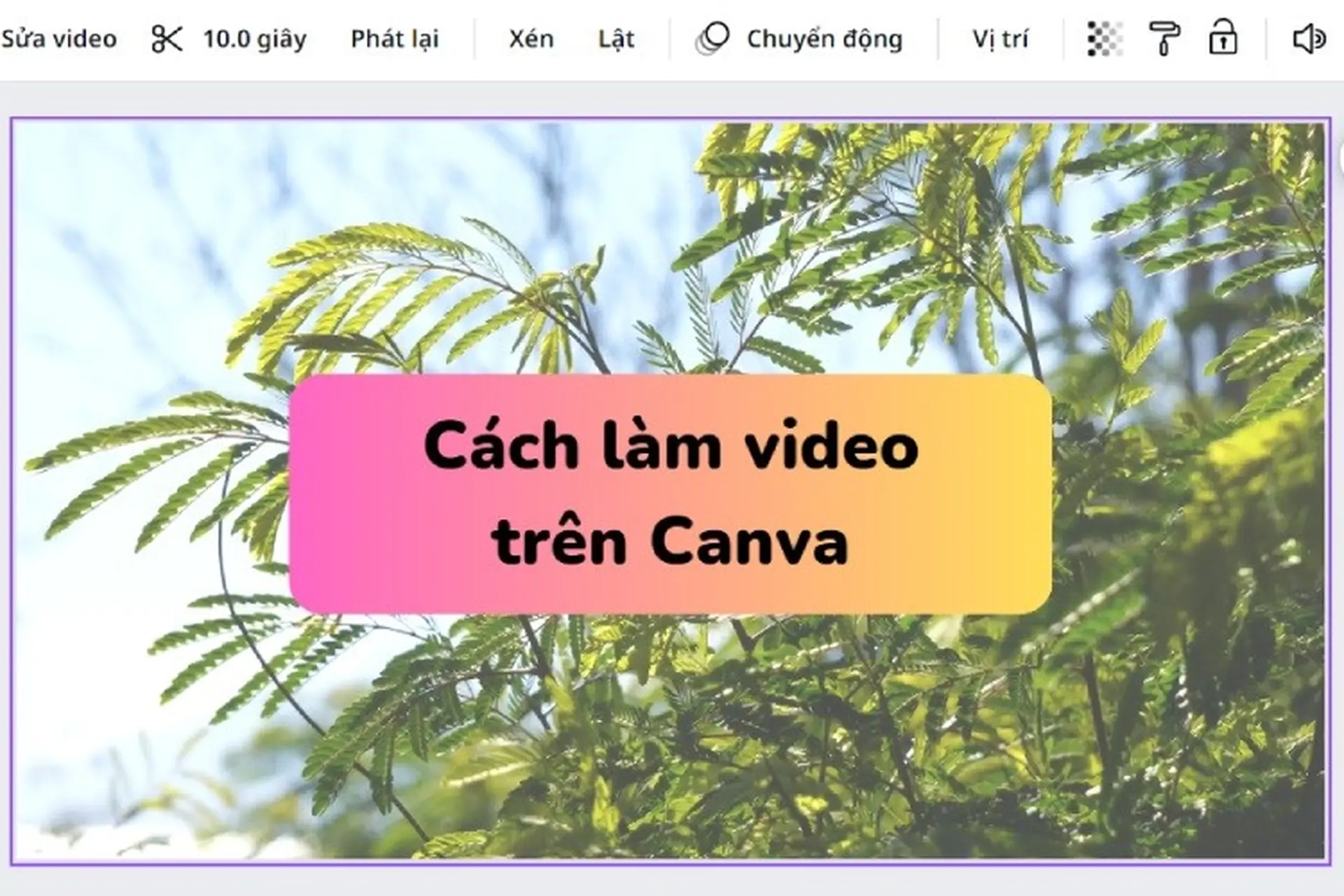 Hướng dẫn cách làm video trên Canva chi tiết, thành công 100%
