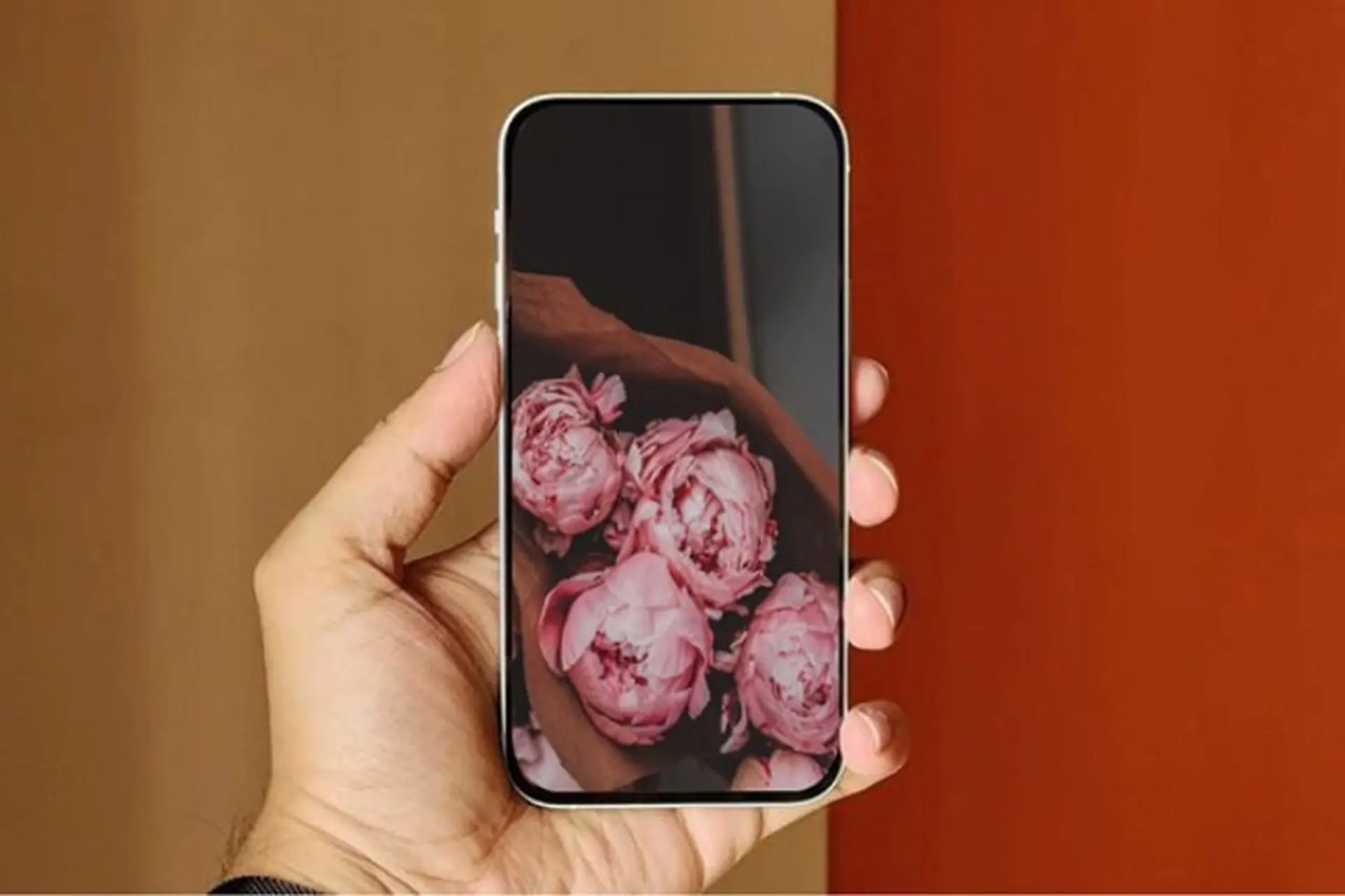 Tải hình nền hoa mẫu đơn đẹp nhất cho điện thoại