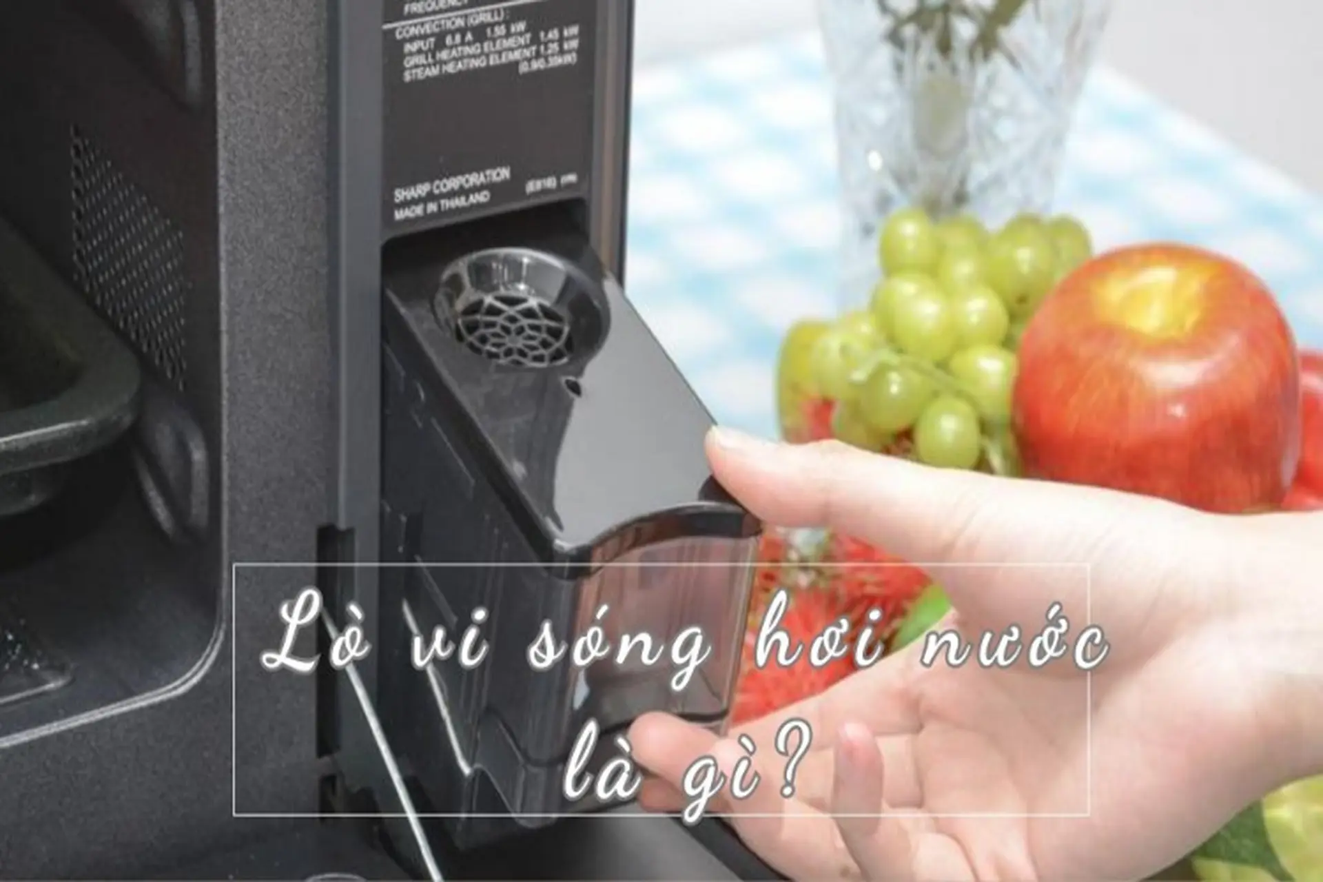 Sự thật về công dụng vượt trội của lò vi sóng hơi nước