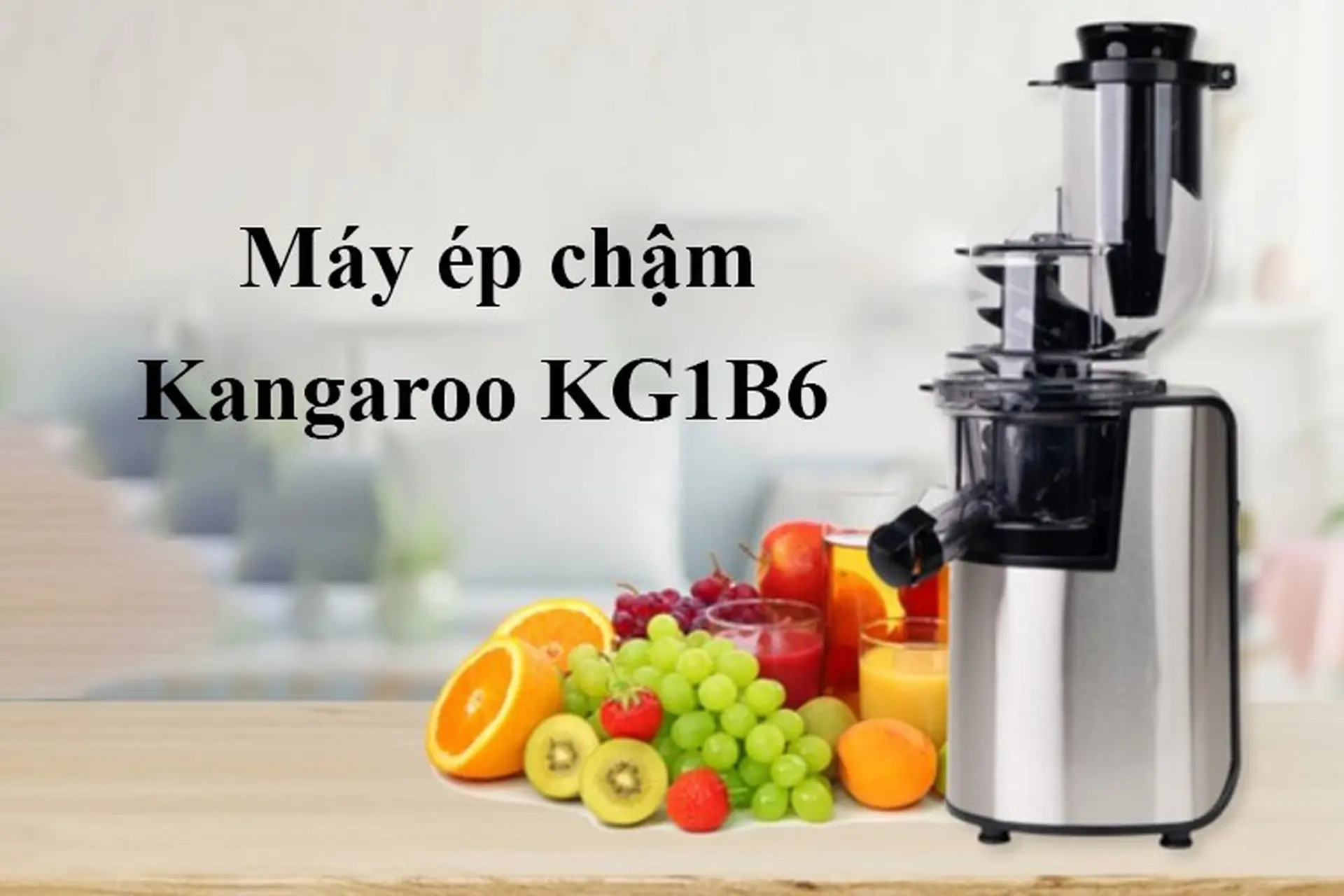 Đánh giá máy ép chậm Kangaroo KG1B6 - Công suất lớn, hiệu quả cao