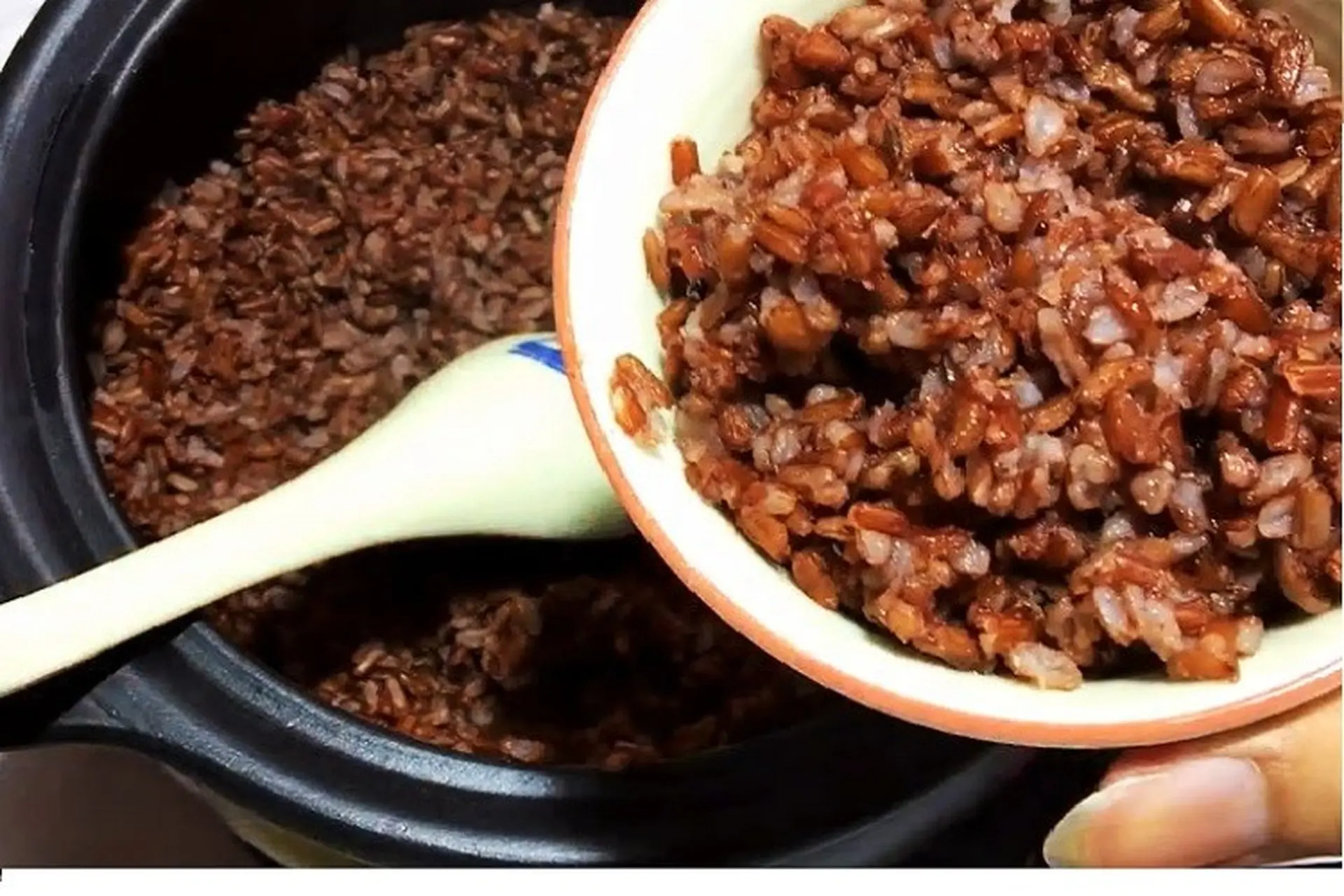 Bật mí các cách nấu cơm gạo lứt bằng nồi áp suất đơn giản tại nhà