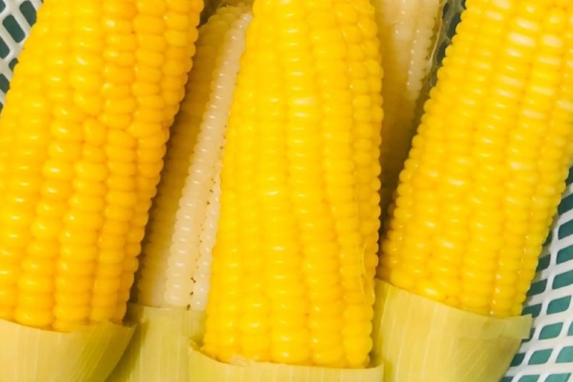 Bí quyết luộc ngô bằng nồi cơm điện ngọt mềm và nhanh chín