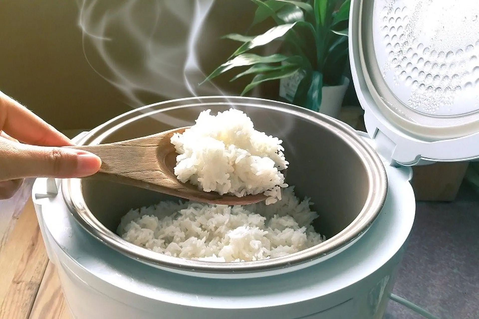 Top 3 nồi cơm điện nhỏ gọn, đa năng cho sinh viên xa nhà