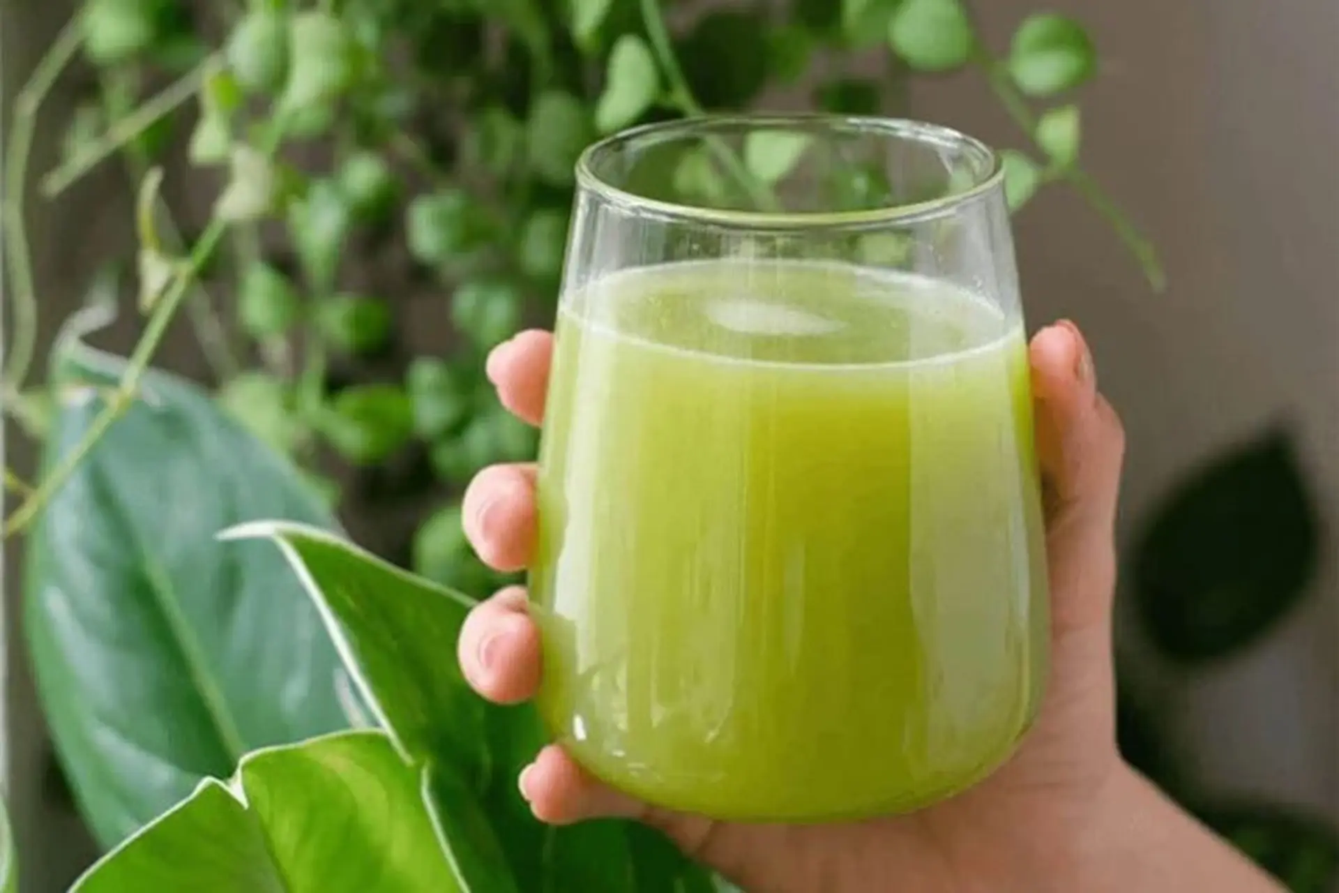 Mách chị em 3 công thức làm nước ép cóc bằng máy ép giúp khỏe dáng, đẹp da