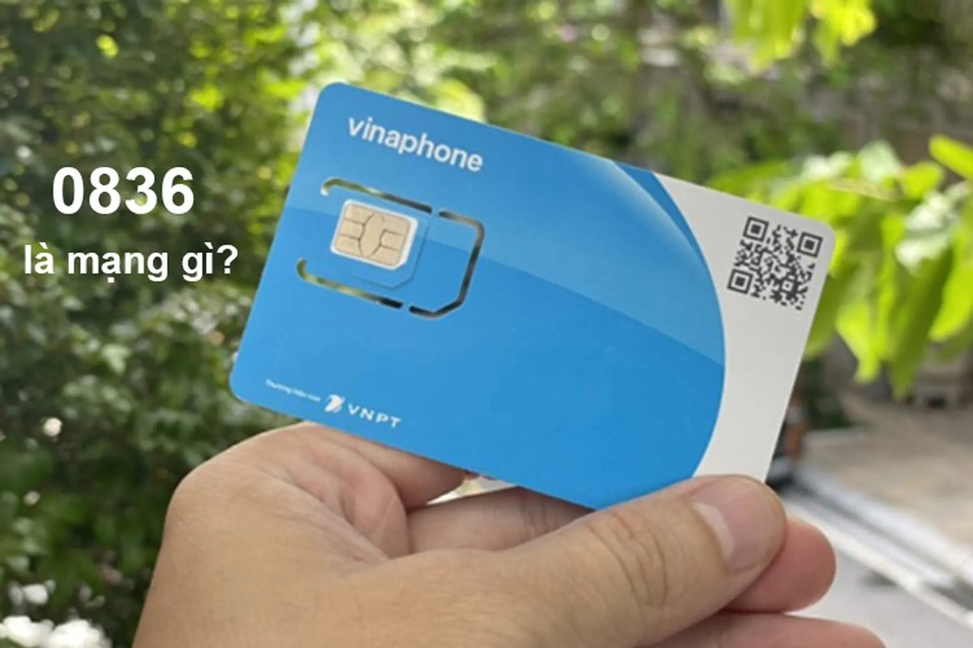 0836 là mạng gì? Ý nghĩa đặc biệt của đầu số 0836 liệu có đẹp như bạn nghĩ?