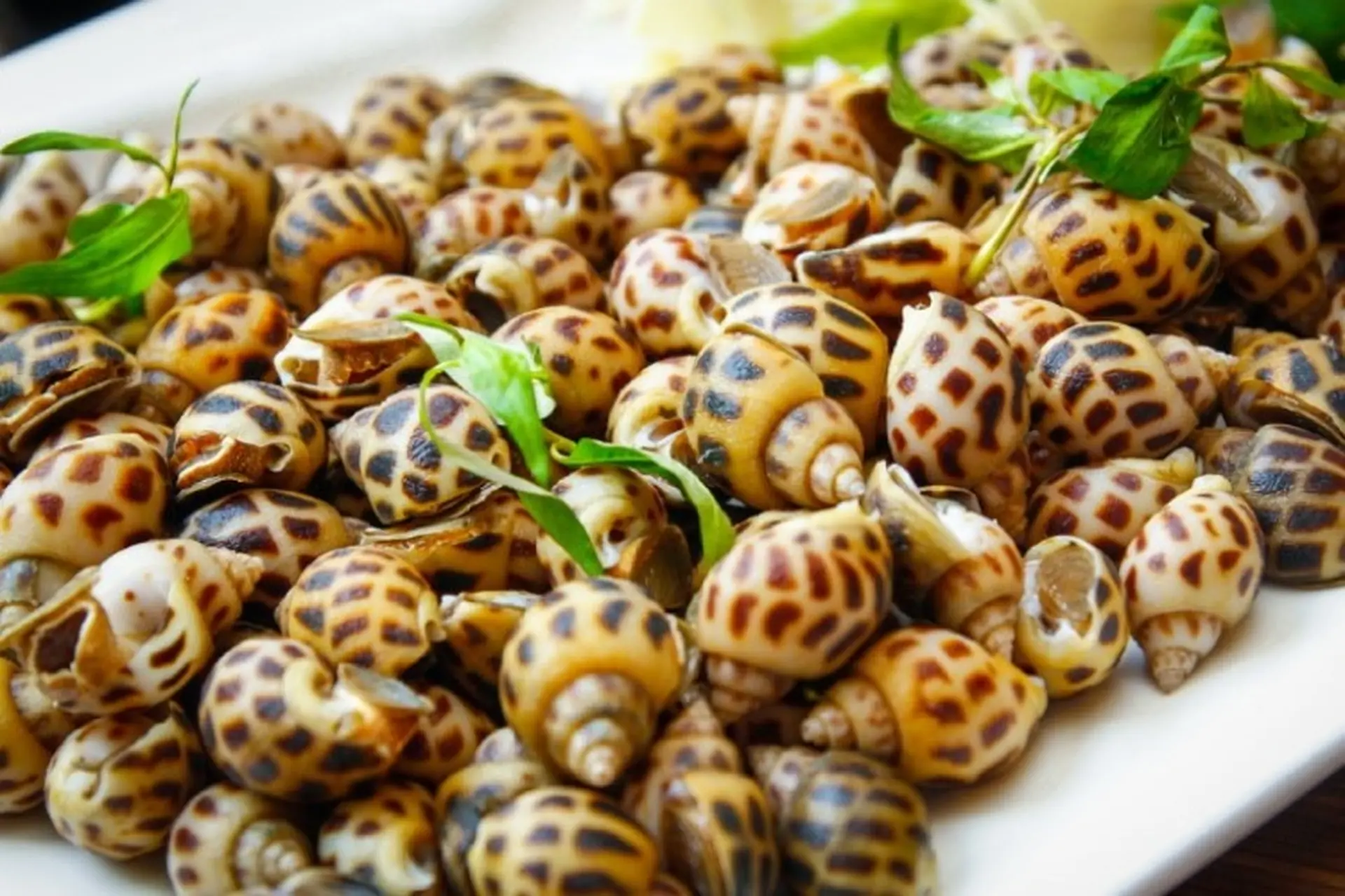 Công thức nướng ốc hương bằng nồi chiên không dầu thơm ngon càng ăn càng ghiền
