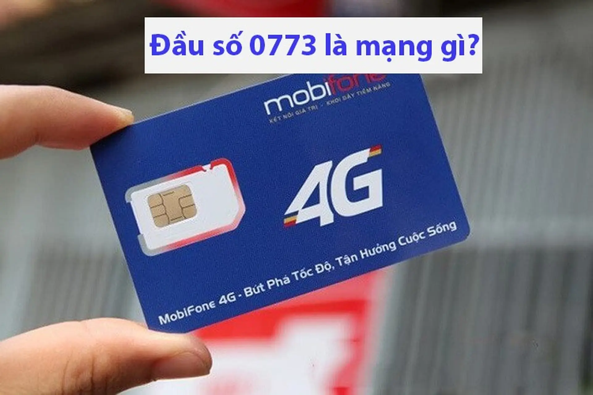 Đầu số 0773 là mạng gì? Mang ý nghĩa tốt hay xấu? Có nên dùng SIM đầu 0773 không?