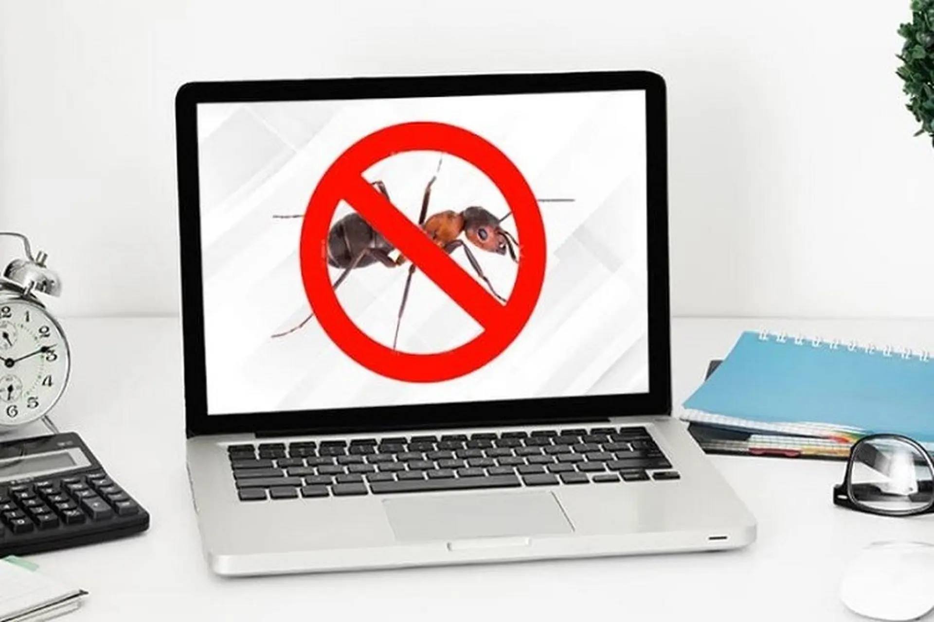 Kiến chui vào laptop có sao không? 4 mẹo diệt kiến trong laptop hiệu quả nhất