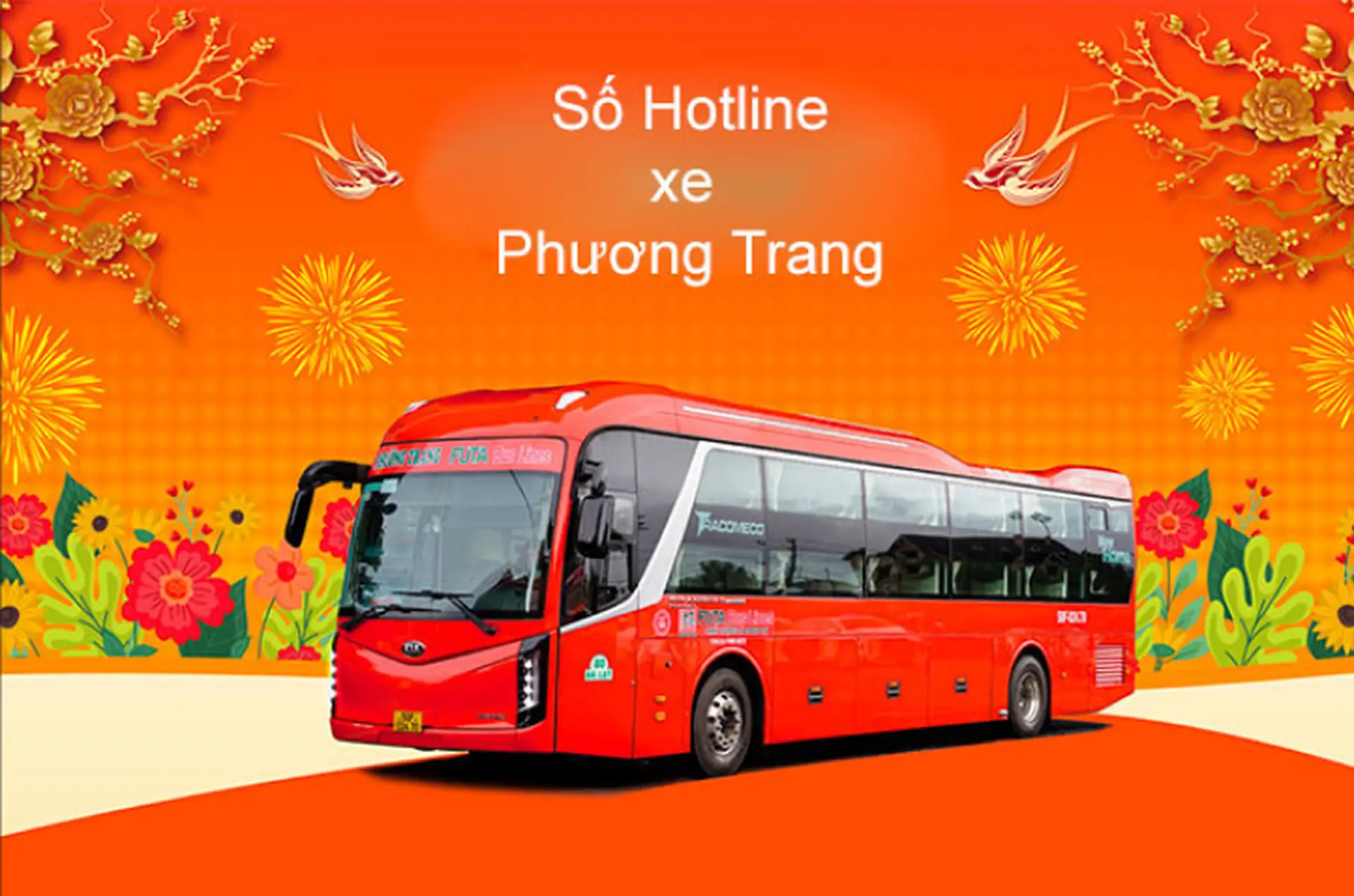Tổng đài Phương Trang | Tổng hợp các số hotline xe Phương Trang trên toàn quốc chi tiết và đầy đủ nhất