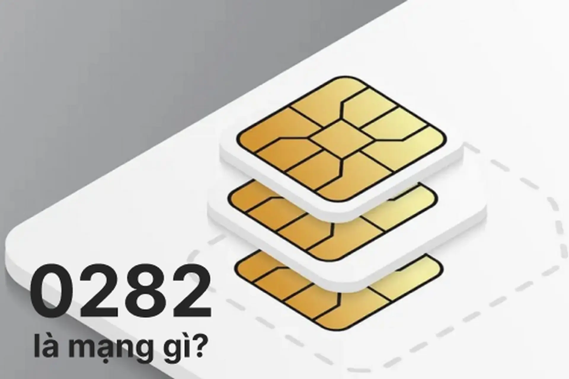 0282 là mạng gì? Có ý nghĩa phong thủy như thế nào và có nên sử dụng không?