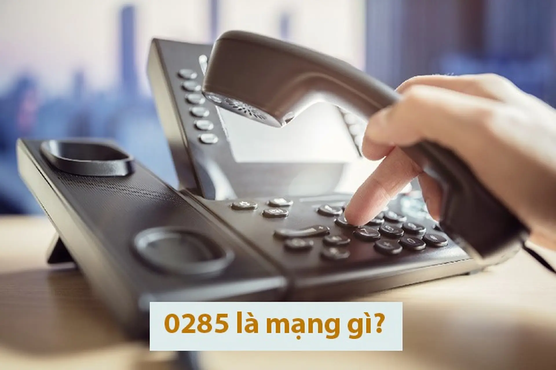 0285 là mạng gì? Khai phá bí ẩn về ý nghĩa của đầu số 0285, liệu có đẹp như kỳ vọng?