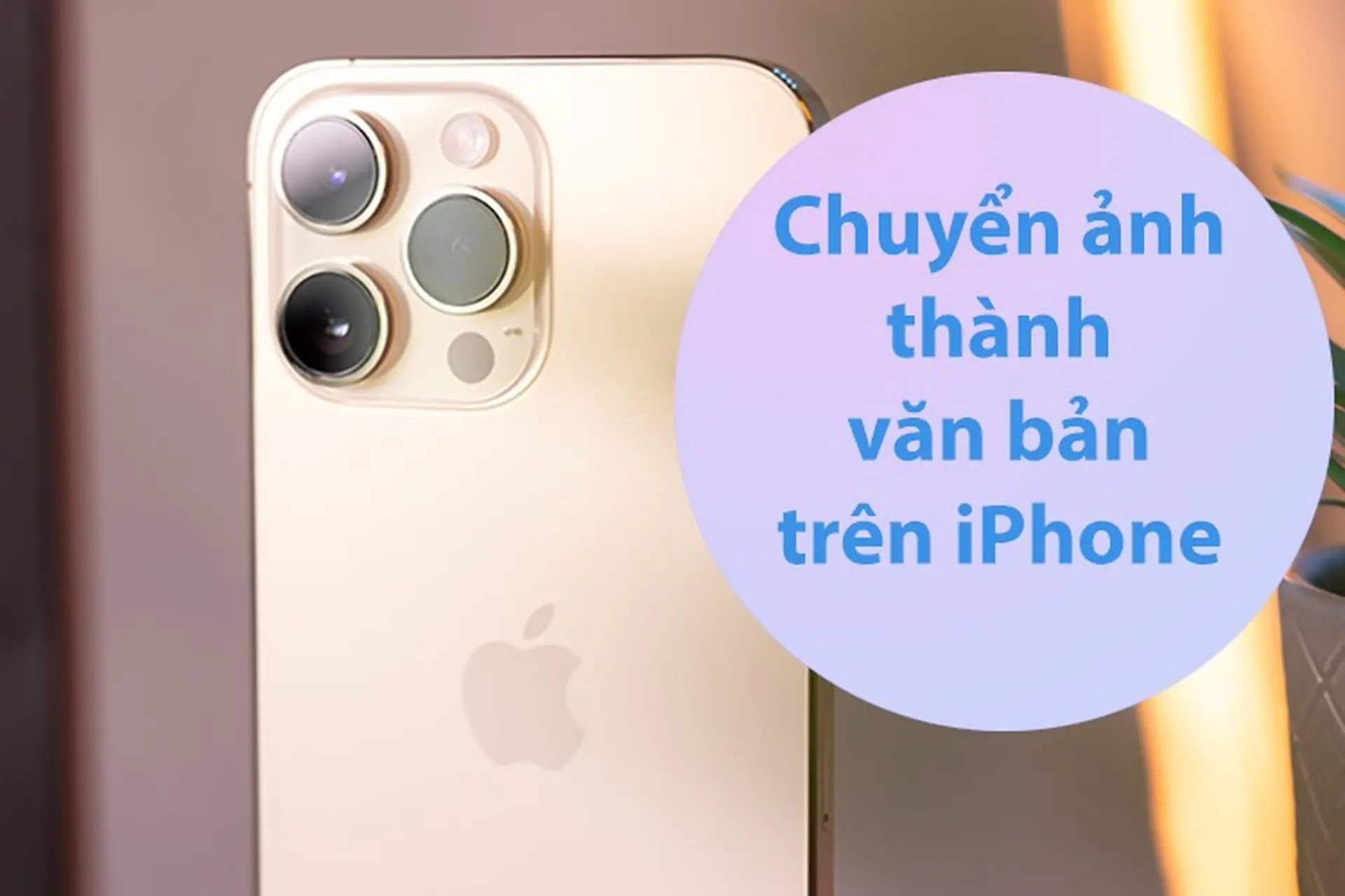 Cách chuyển ảnh thành văn bản trên iPhone cực đơn giản có thể bạn chưa biết
