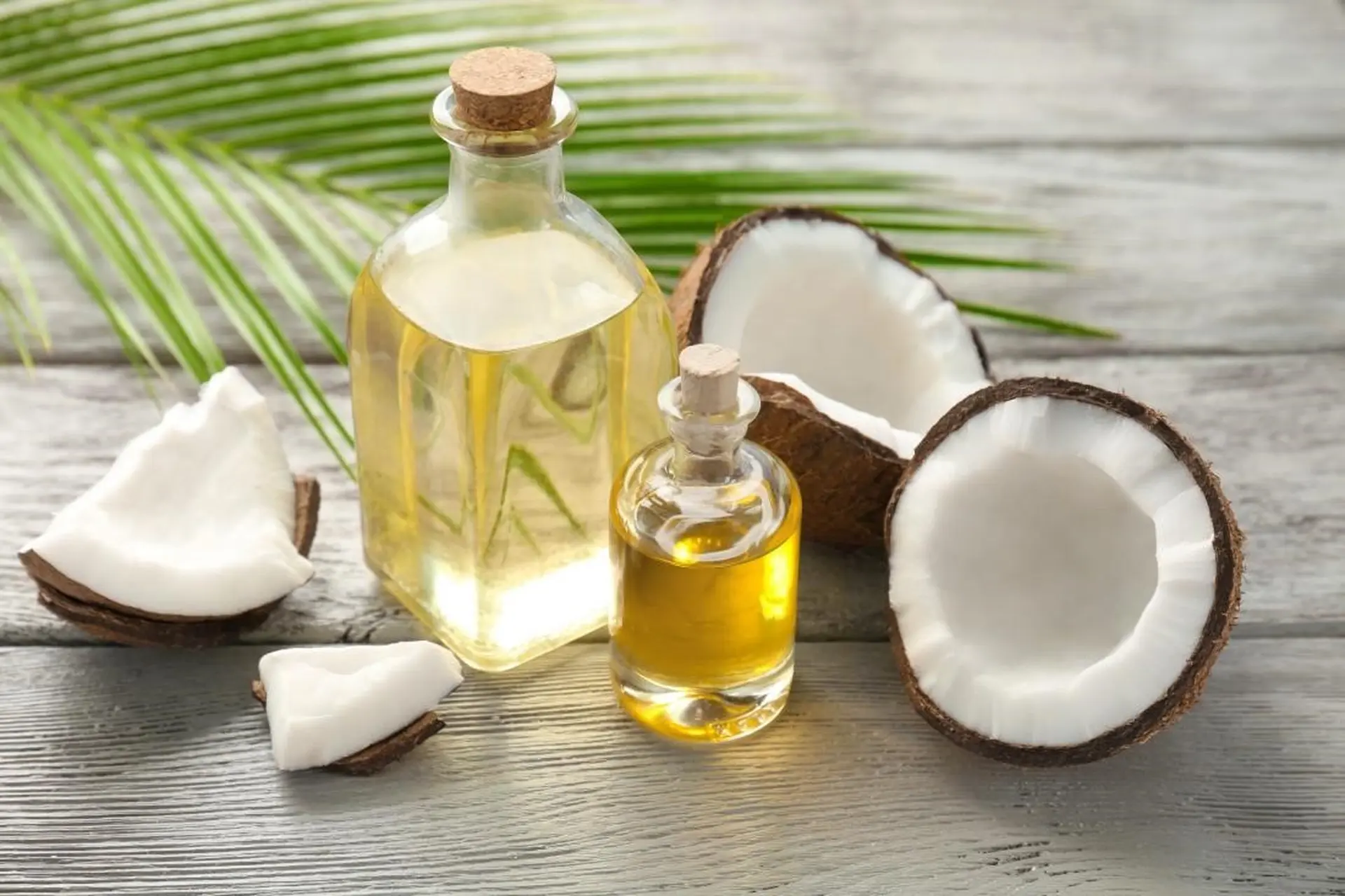 Dầu dừa: Món quà đáng quý từ thiên nhiên, chăm sóc toàn diện sức khỏe và sắc đẹp