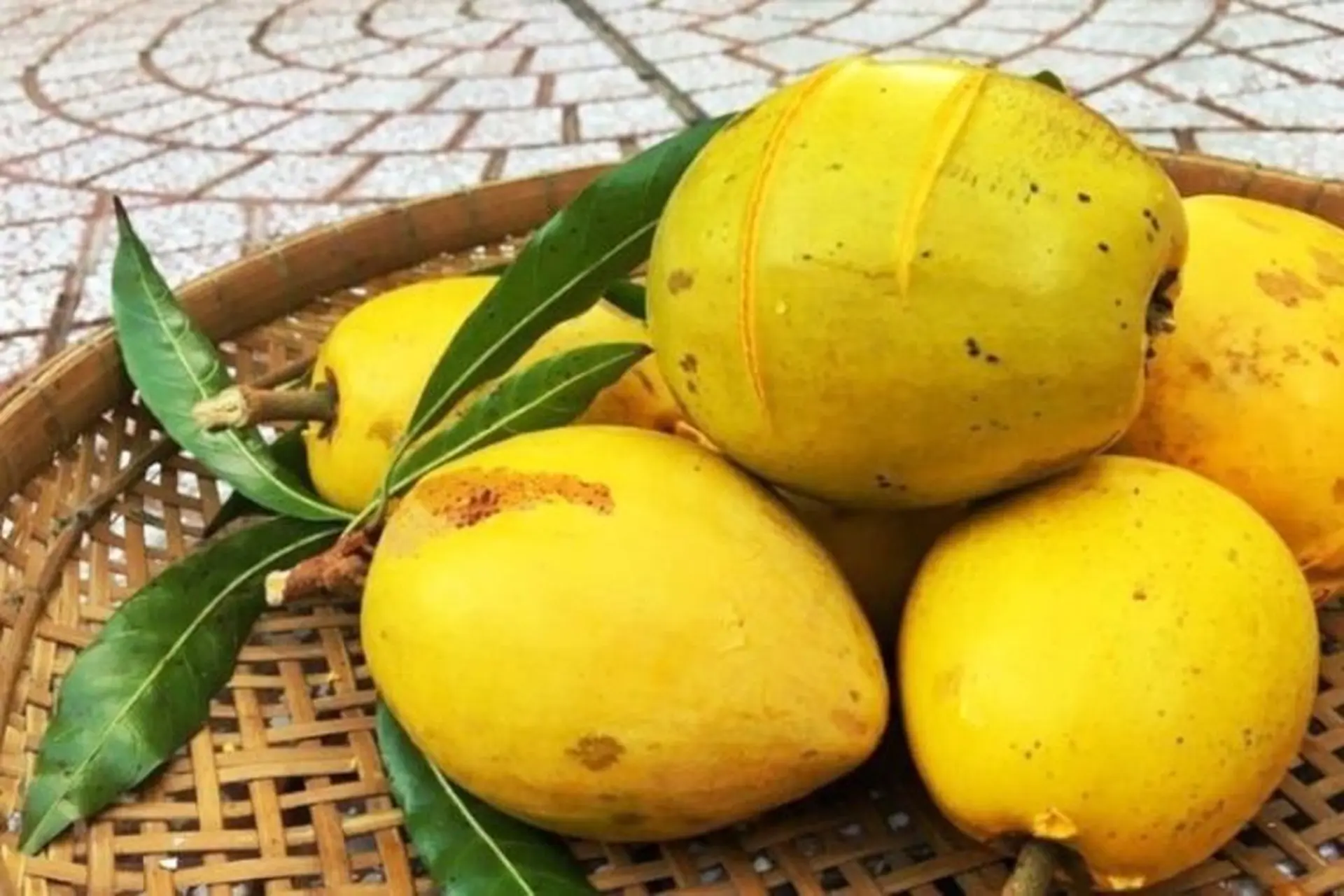 Lê ki ma là quả gì? Giá trị dinh dưỡng ra sao? Ăn nhiều tăng hay giảm cân và những lưu ý cần biết