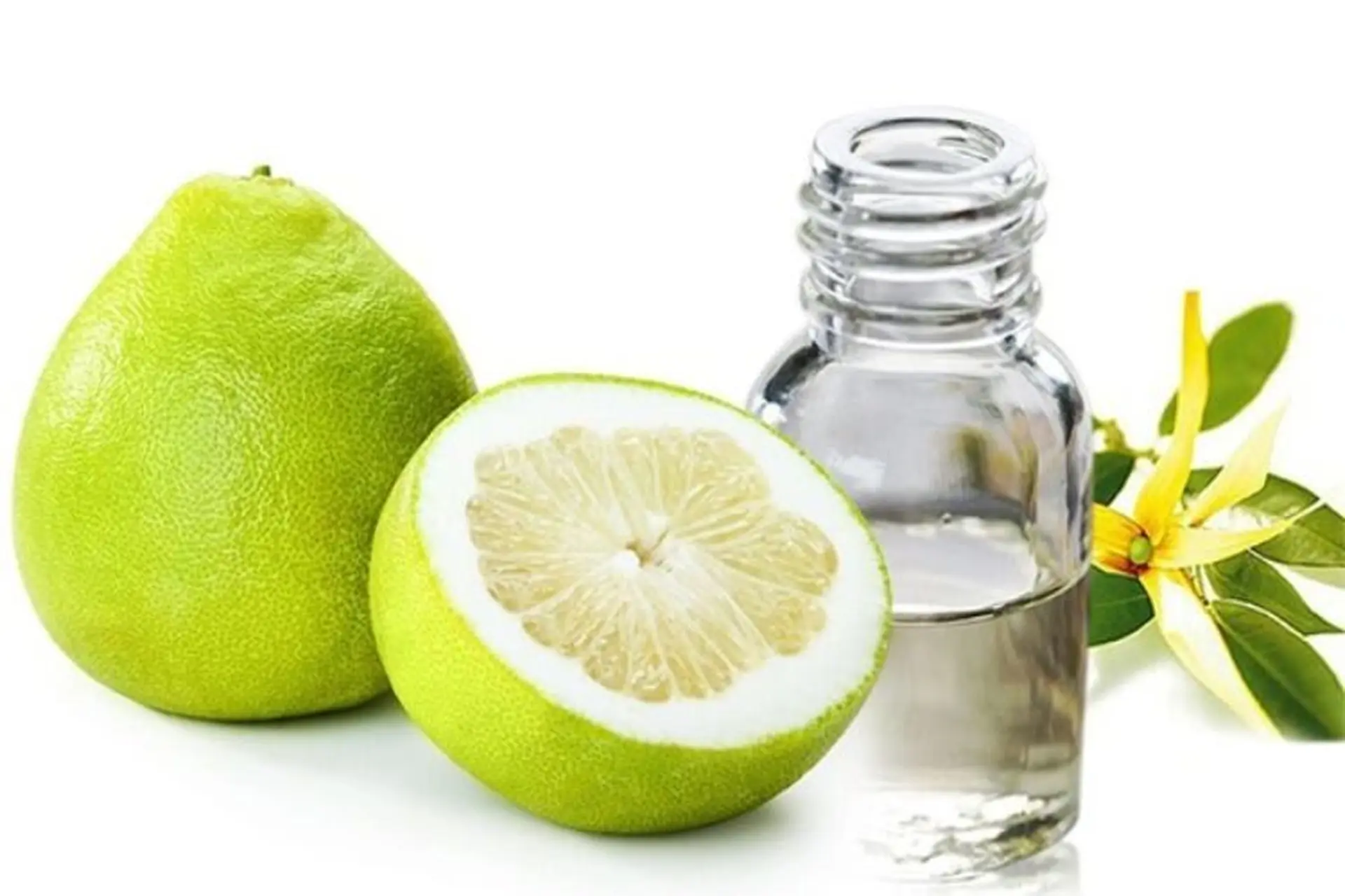 Tinh dầu bưởi là gì? Khám phá các công dụng tuyệt vời của tinh dầu bưởi và những lưu ý khi dùng