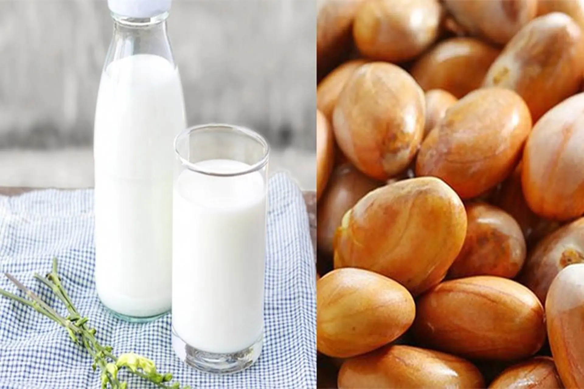 Mách bạn 2 cách làm sữa hạt mít thơm bùi, lạ miệng và đơn giản ngay tại nhà