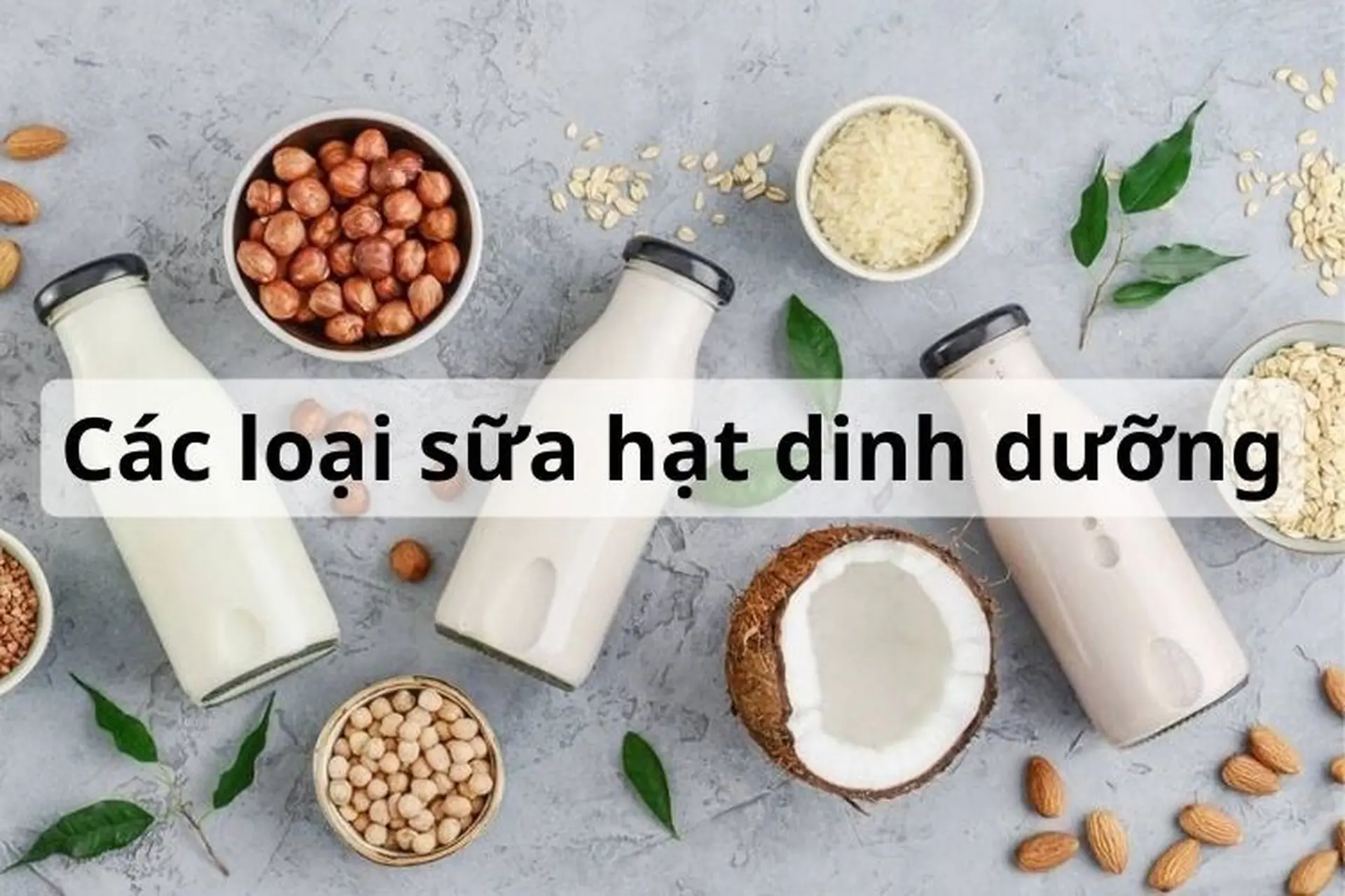 Mách bạn các loại sữa hạt có hiệu quả tốt cho sức khỏe được yêu thích hiện nay