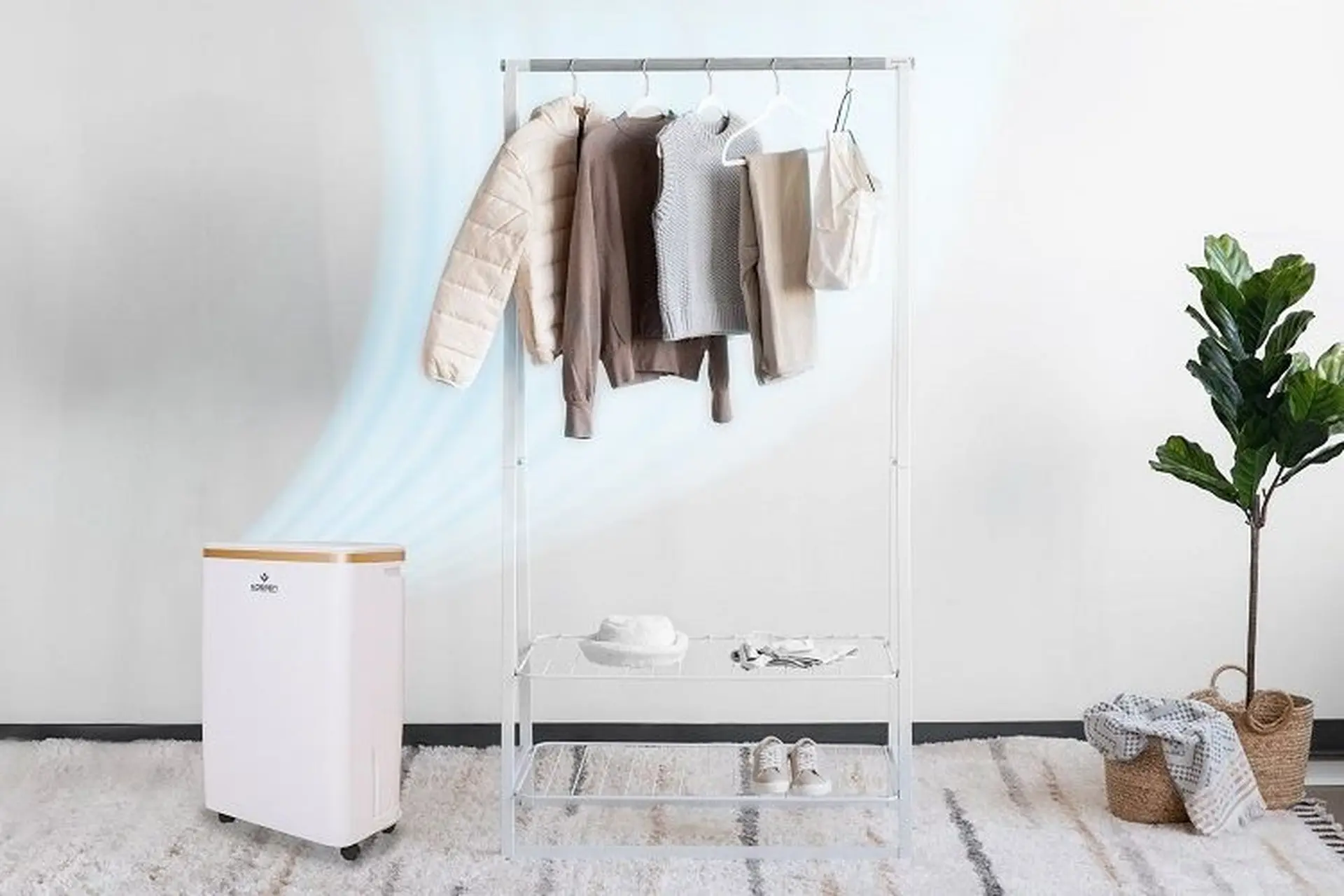 Máy hút ẩm và tủ sấy quần áo: Combo không thể thiếu trong mùa nồm ẩm của mọi gia đình