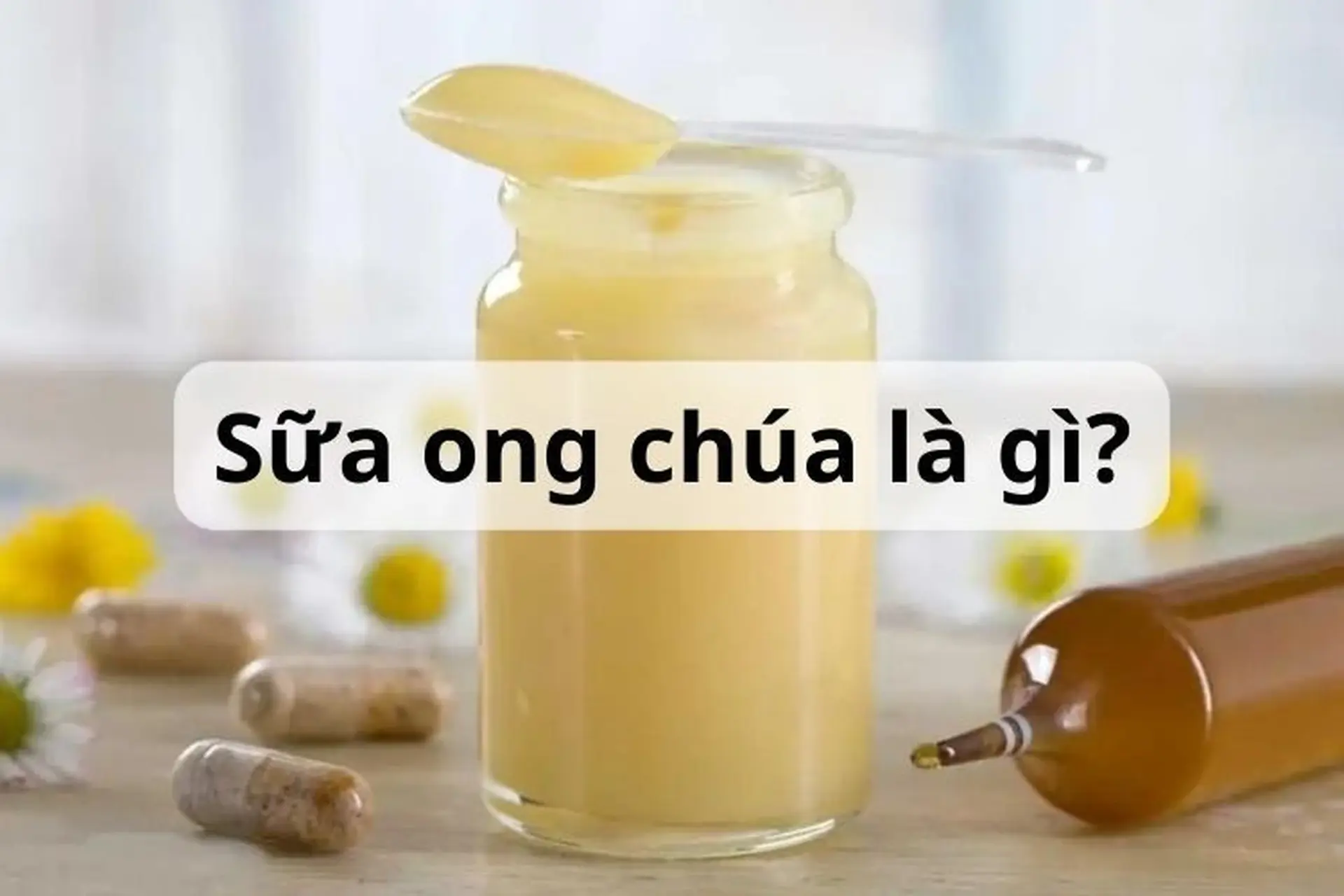 Sữa ong chúa là gì? Tác dụng tuyệt vời của sữa ong chúa đối với cơ thể con người