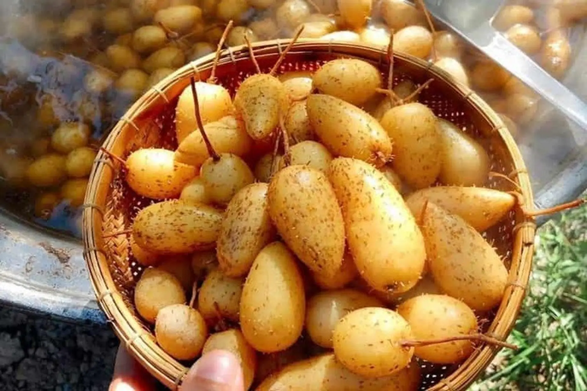 Cách luộc củ lùn để đạt độ ngon hoàn hảo nhất là gì? Những món ăn từ củ lùn có thể bạn chưa biết