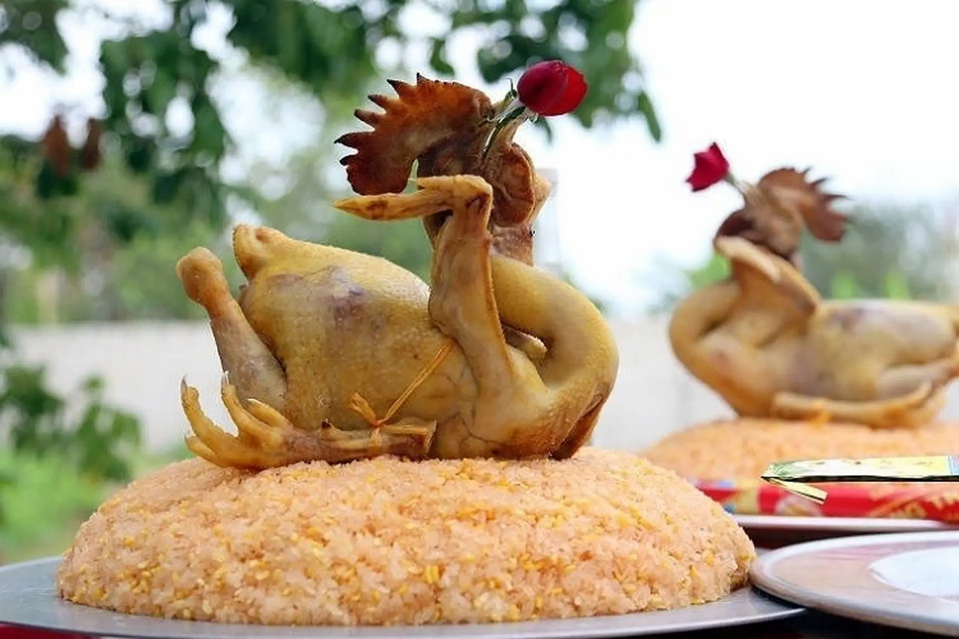 Học cách luộc gà cúng đẹp mắt, chín tới, không bị nứt da cho mâm cỗ ngày tết