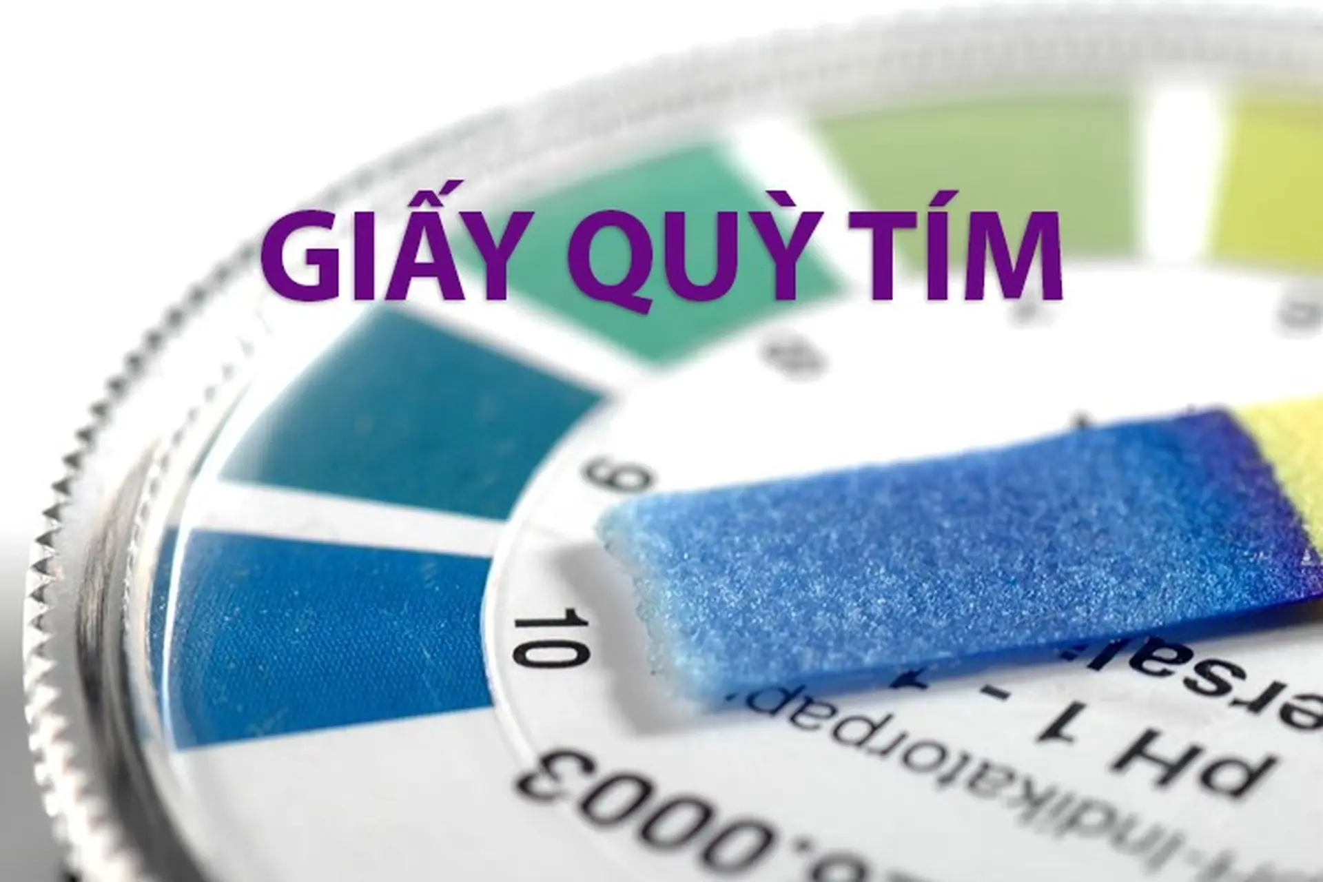 Tìm hiểu giấy quỳ tím là gì? Nguyên lý đổi màu và ứng dụng phổ biến của giấy quỳ tím