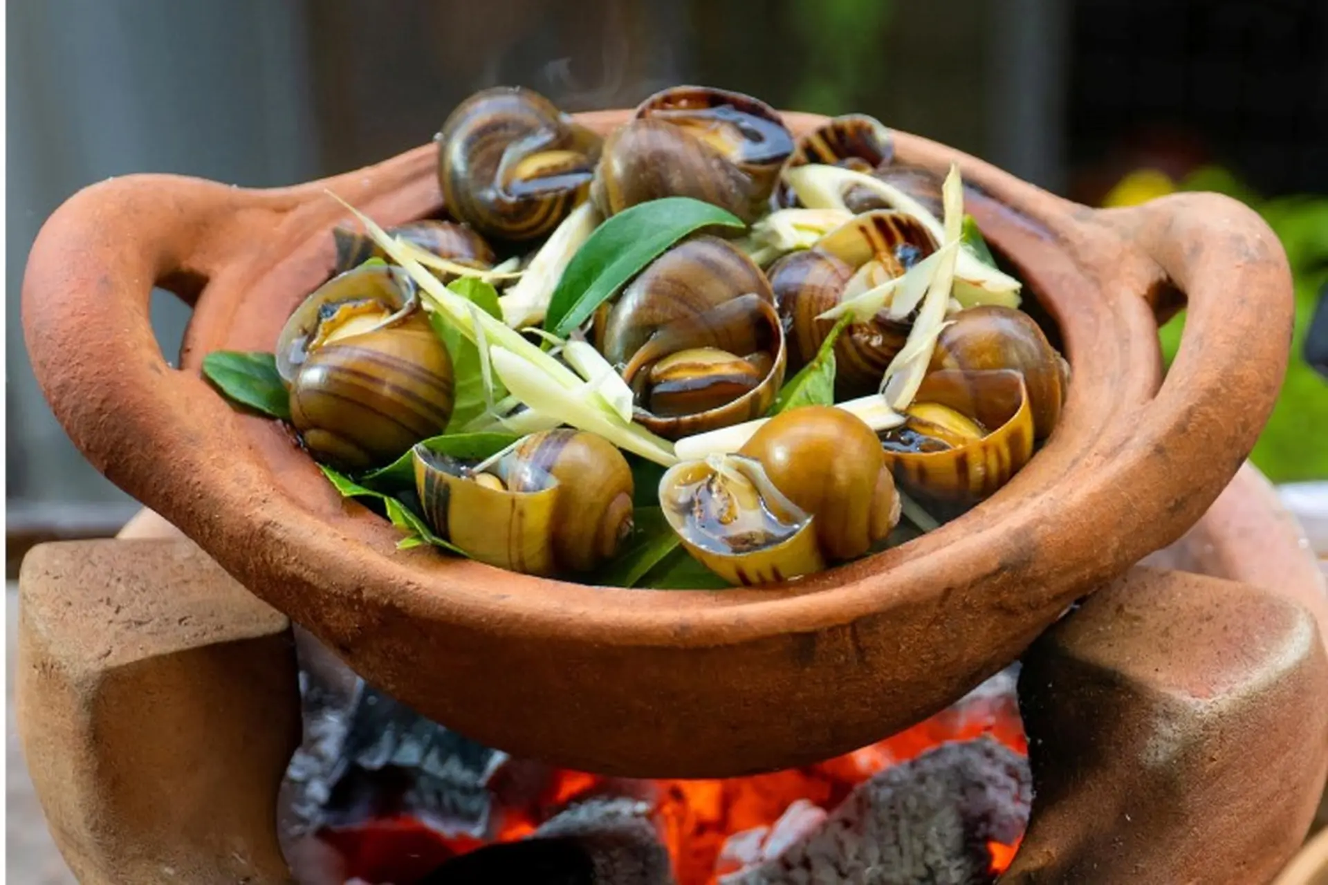 Mách bạn cách luộc ốc mít ngon giòn xoắn lưỡi, thơm lừng, đảm bảo ai cũng thích mê