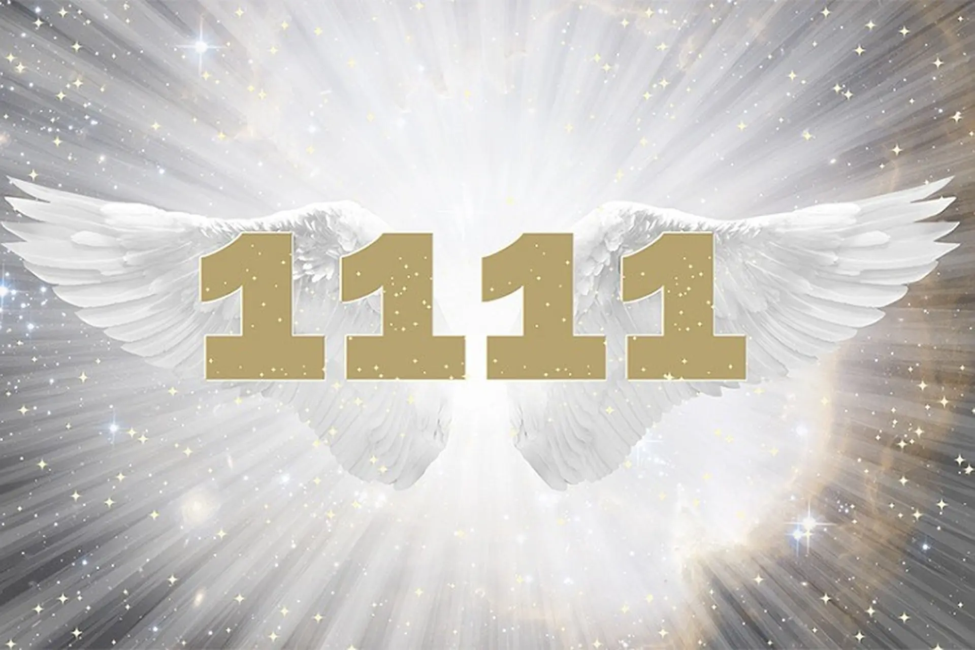 Ý nghĩa biển số xe 1111 - Biển Số Đặc Biệt Với Ý Nghĩa Phong Thủy Và Tâm Linh Trong Cuộc Sống Việt