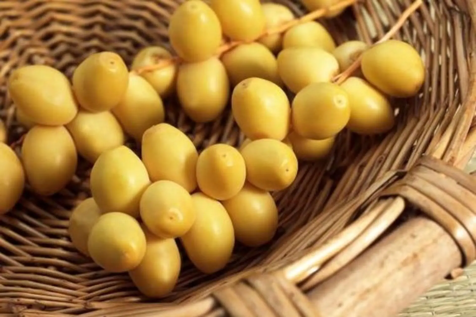 Cách ăn chà là tươi và tất tần tật những điều bạn cần biết về chà là tươi