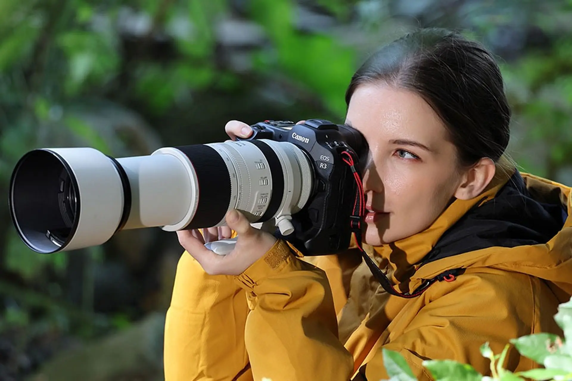 Máy ảnh DSLR là gì? Tìm hiểu cơ chế hoạt động và ưu điểm của loại máy ảnh này