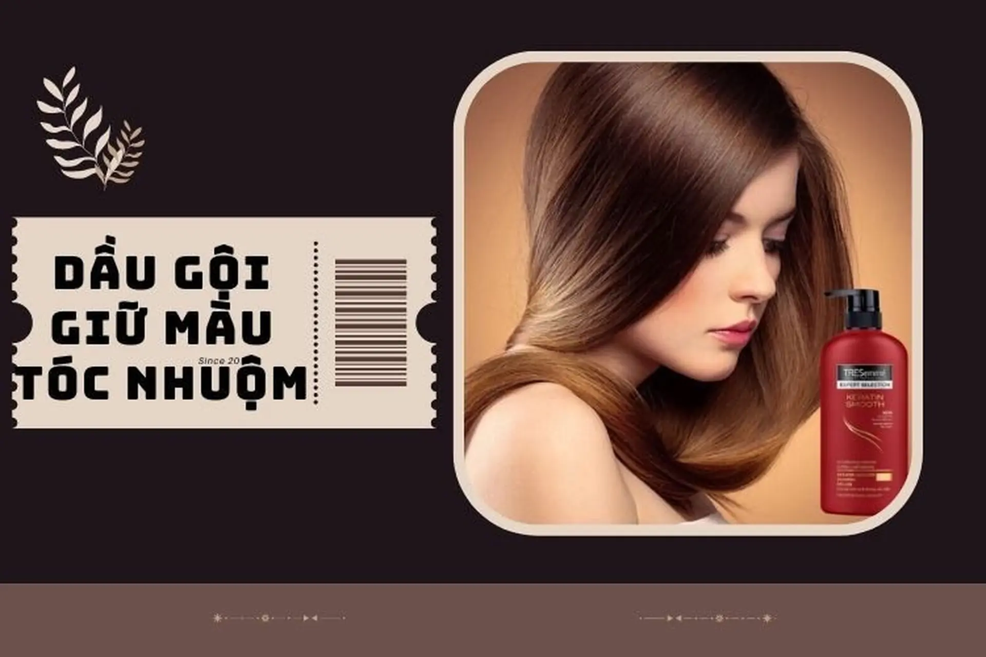 Review 12 dòng dầu gội giữ màu tóc nhuộm sáng khỏe tự nhiên được yêu thích nhất hiện nay