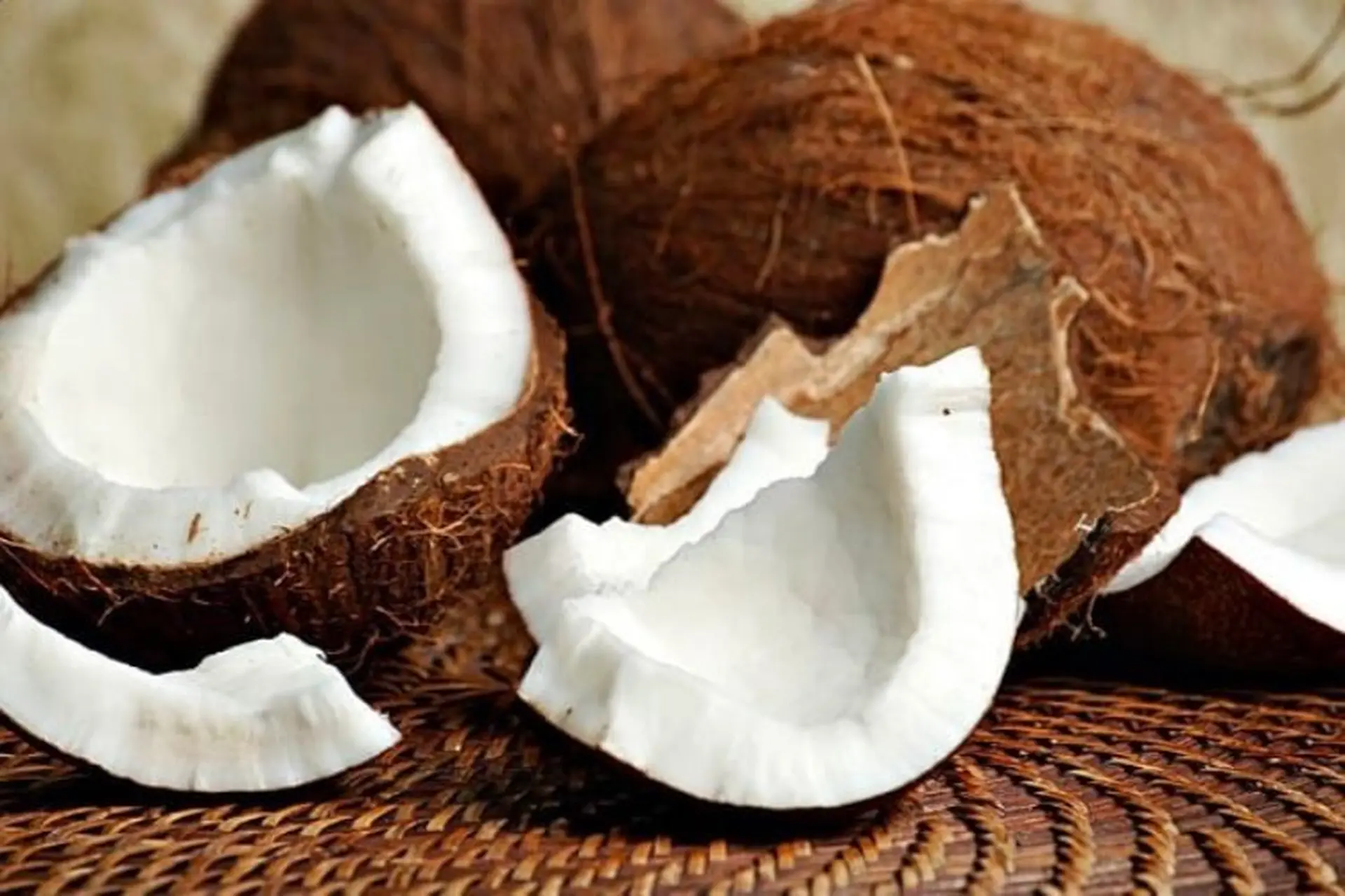 Cùi dừa bao nhiêu calo? Ăn nhiều có béo không và lợi ích sức khỏe