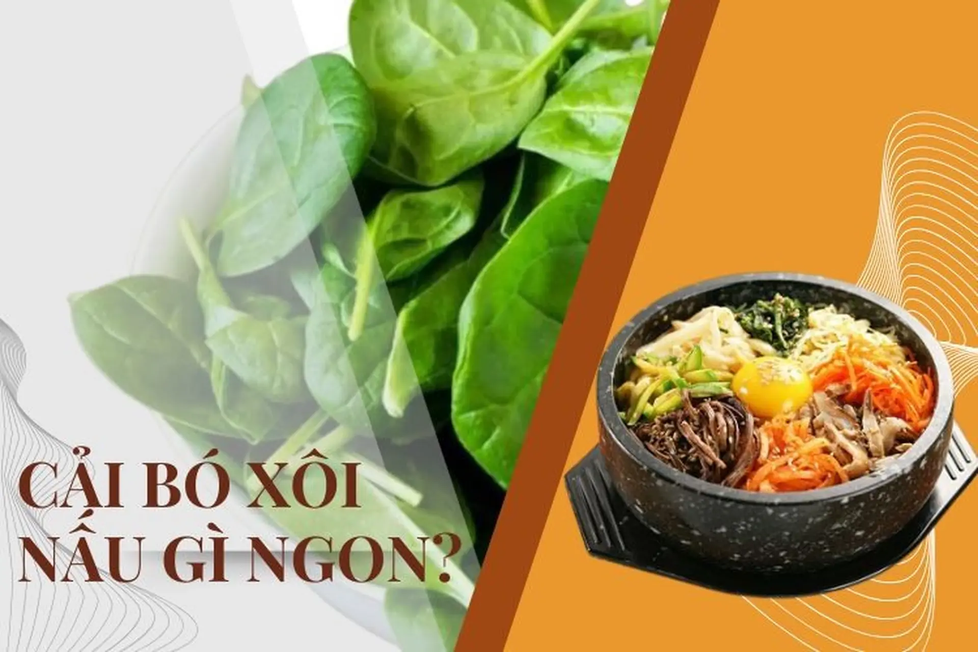 Cải bó xôi nấu gì ngon? Cách chế biến cải bó xôi thơm ngon, chuẩn vị không phải ai cũng biết