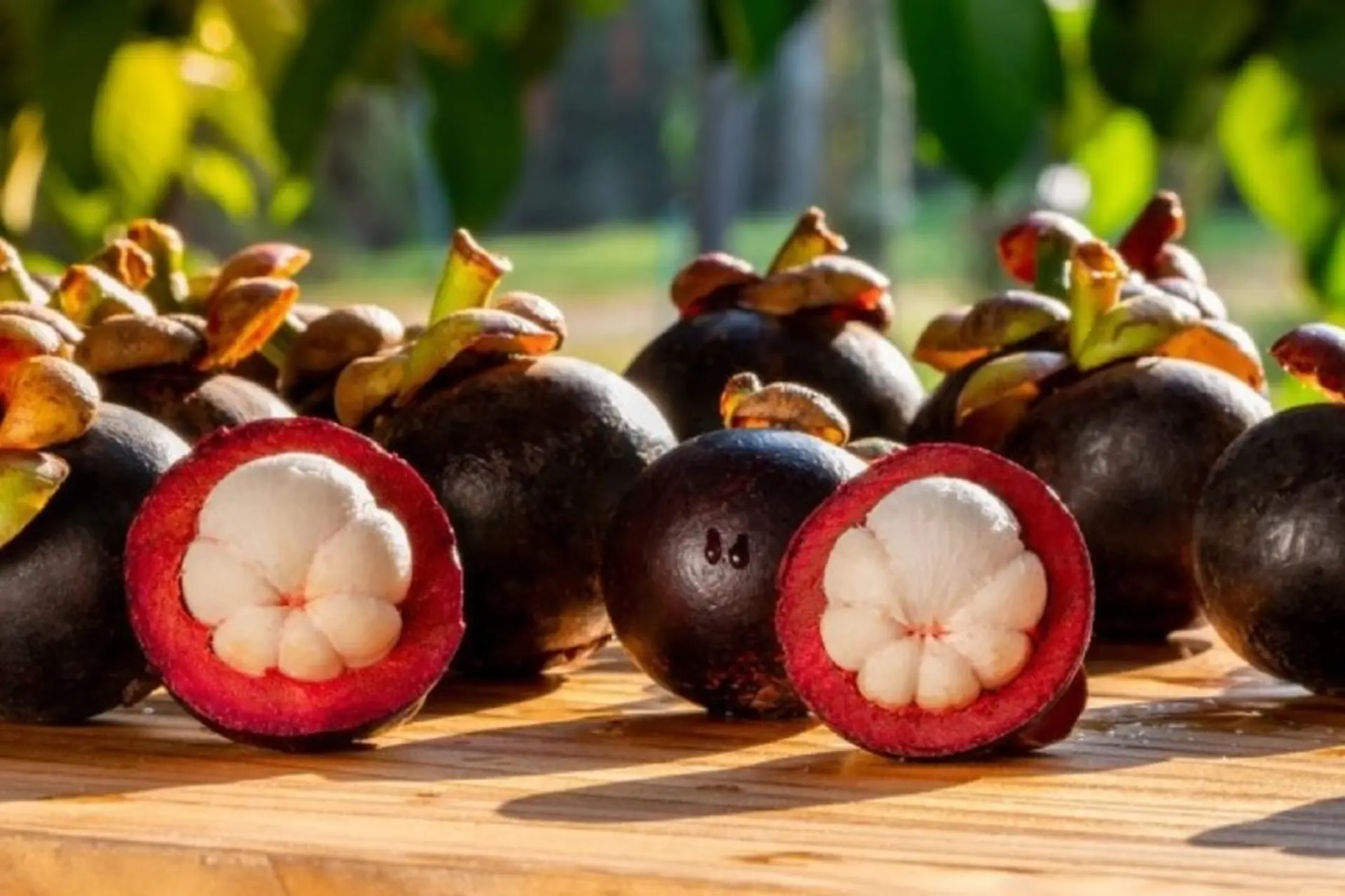 Bật mí cách chọn măng cụt ngon ngọt cực kỳ dễ dàng - Mẹo bảo quản măng cụt được lâu hơn