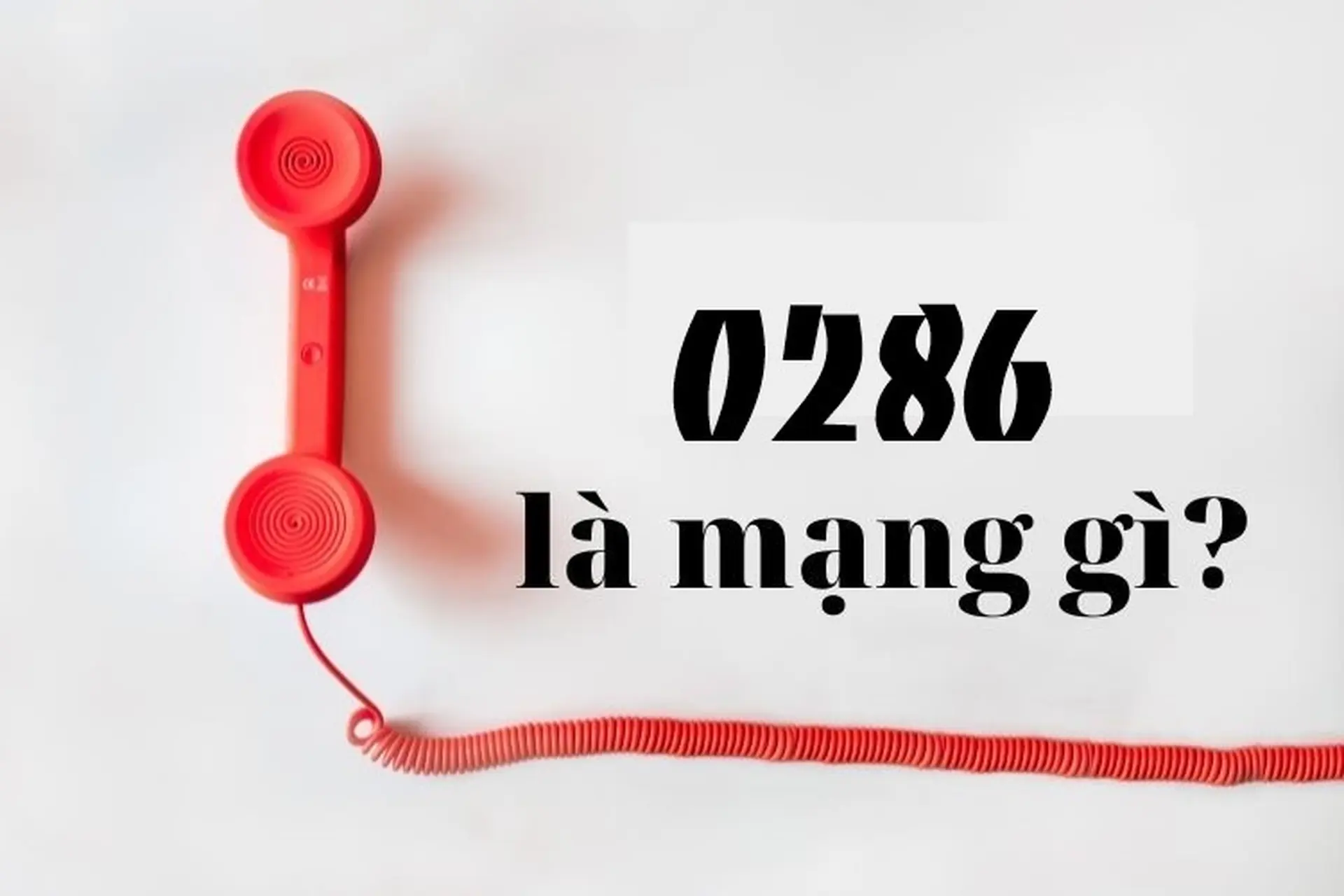 0286 là mạng gì? Có phải lừa đảo không? Cách phát hiện các cuộc gọi lừa đảo đến số máy của bạn