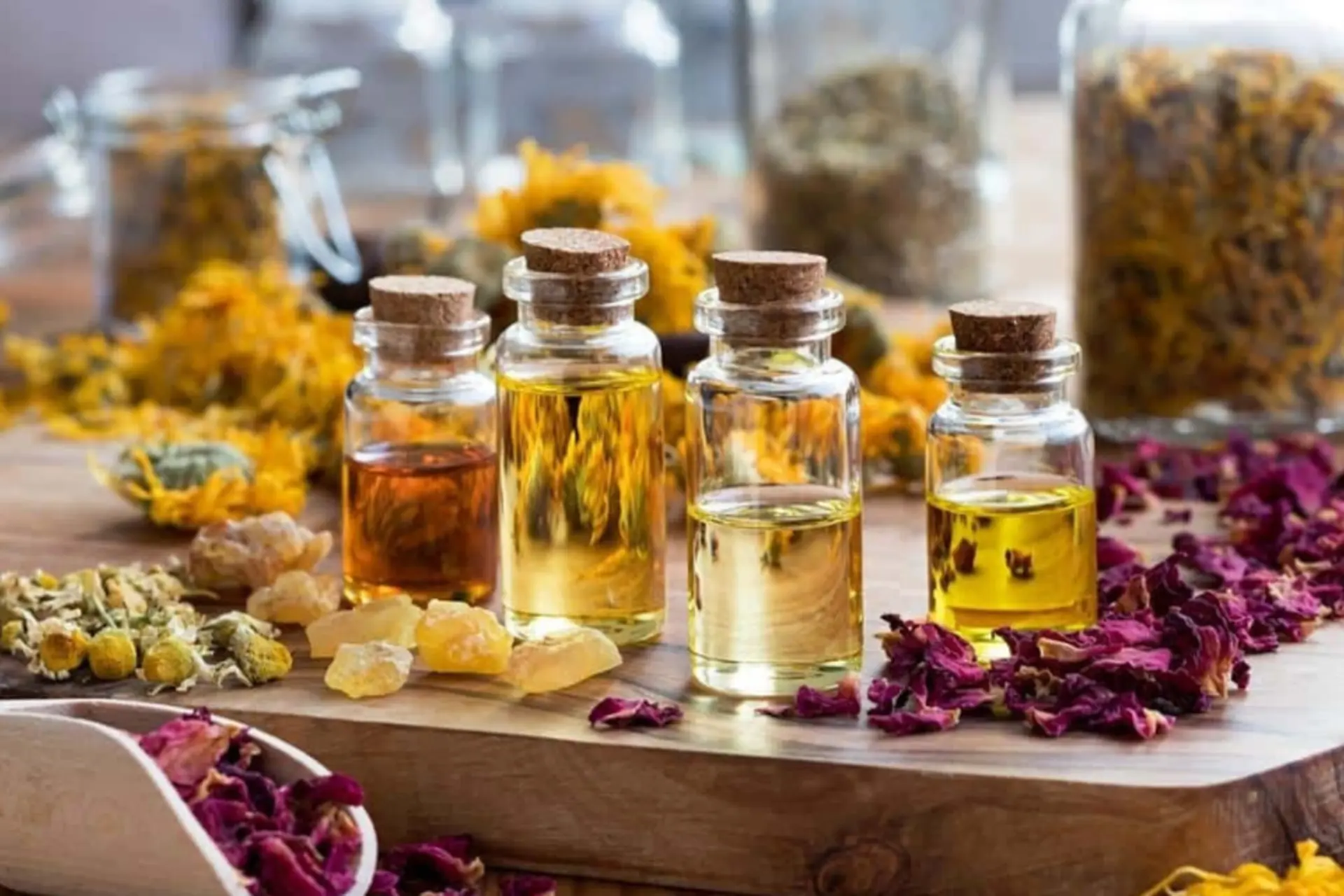 Tinh dầu l&agrave; g&igrave;? T&igrave;m hiểu đặc điểm, c&ocirc;ng dụng v&agrave; c&aacute;c loại tinh dầu