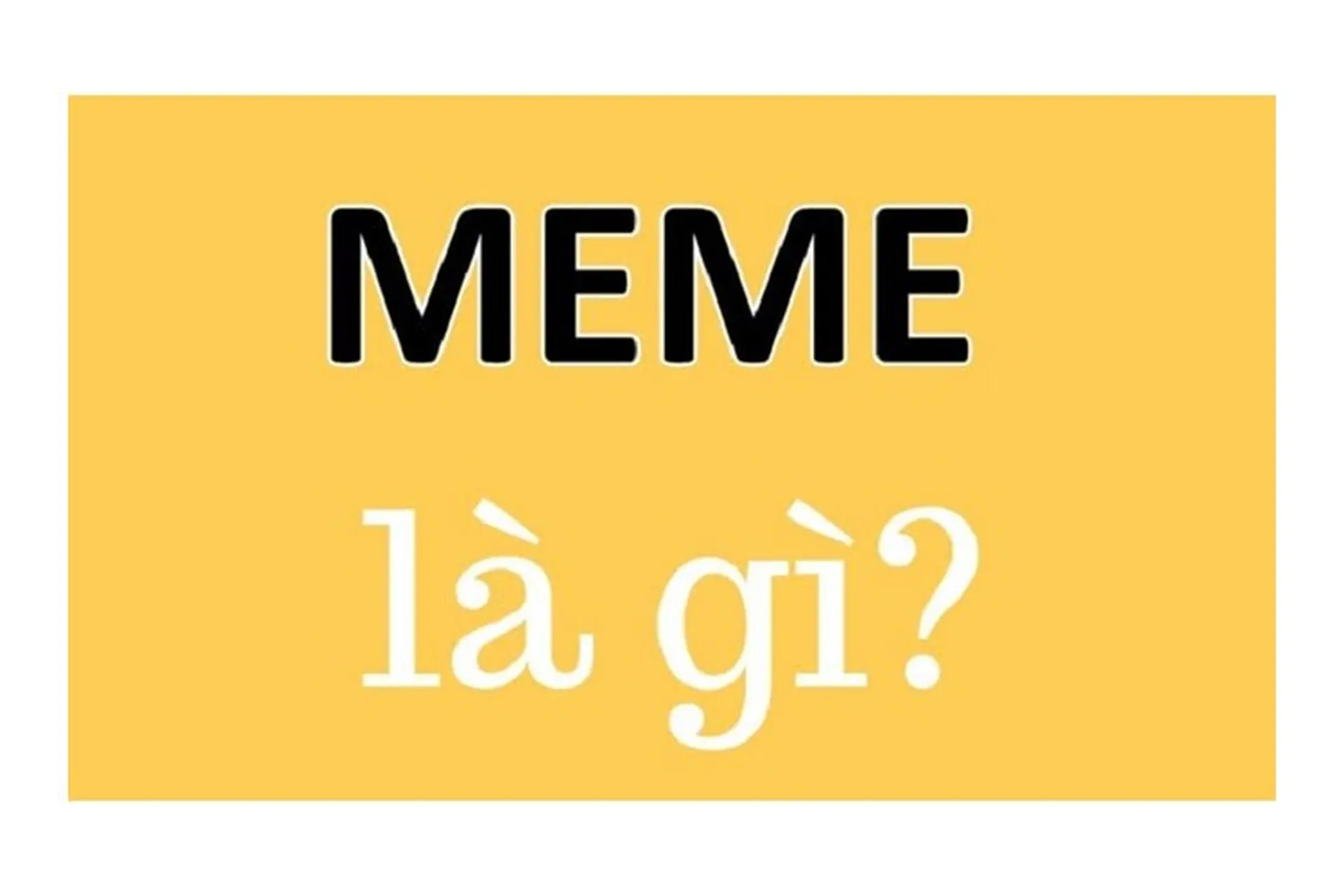 Meme là gì? Top 10+ meme được sử dụng nhiều nhất trên các nền tảng mạng xã hội
