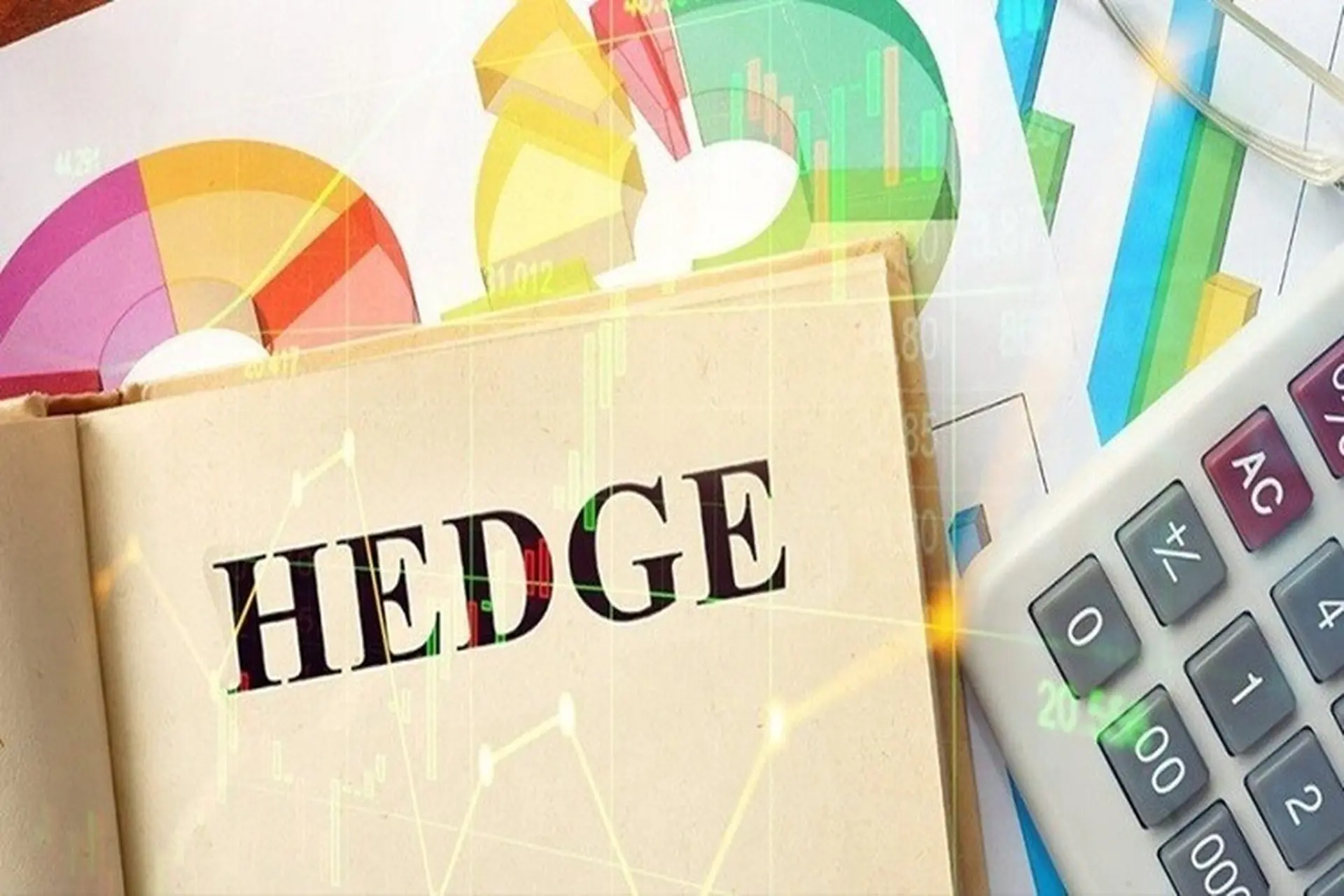 Hedge Fund là gì? Giới thiệu những quỹ phòng hộ quan trọng mà bạn nên biết