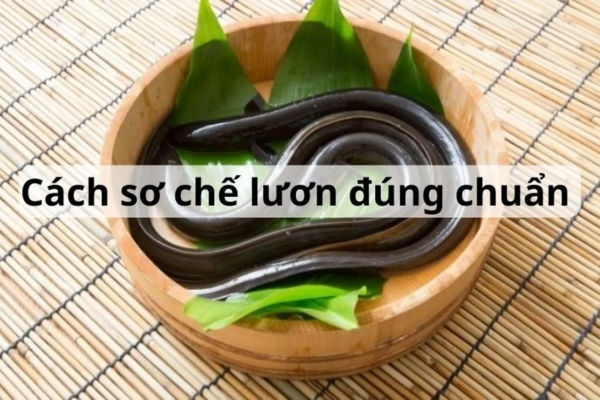 Một số mẹo giúp chọn lươn ngon và cách sơ chế lươn sạch, không nhớt, không tanh