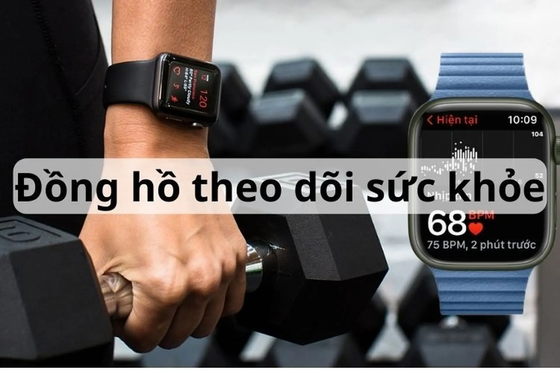 Mách bạn top 10 dòng đồng hồ theo dõi sức khỏe tốt, chất lượng nhất được khuyên dùng