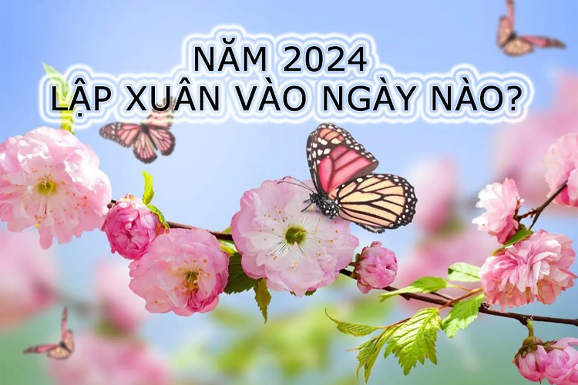 Lập xuân 2024 vào ngày nào? Làm gì vào ngày Lập xuân để may mắn cả năm?